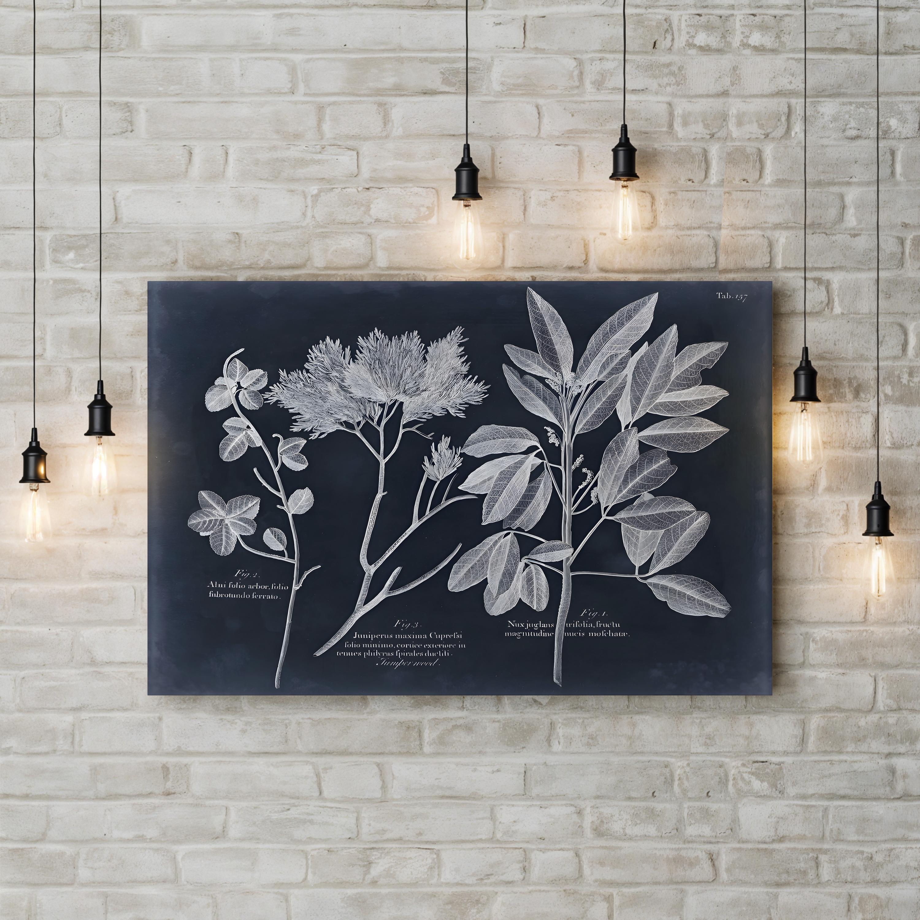 Foliage on Navy VI Wall Art — Vision Studio Vintage Botanical Illustration