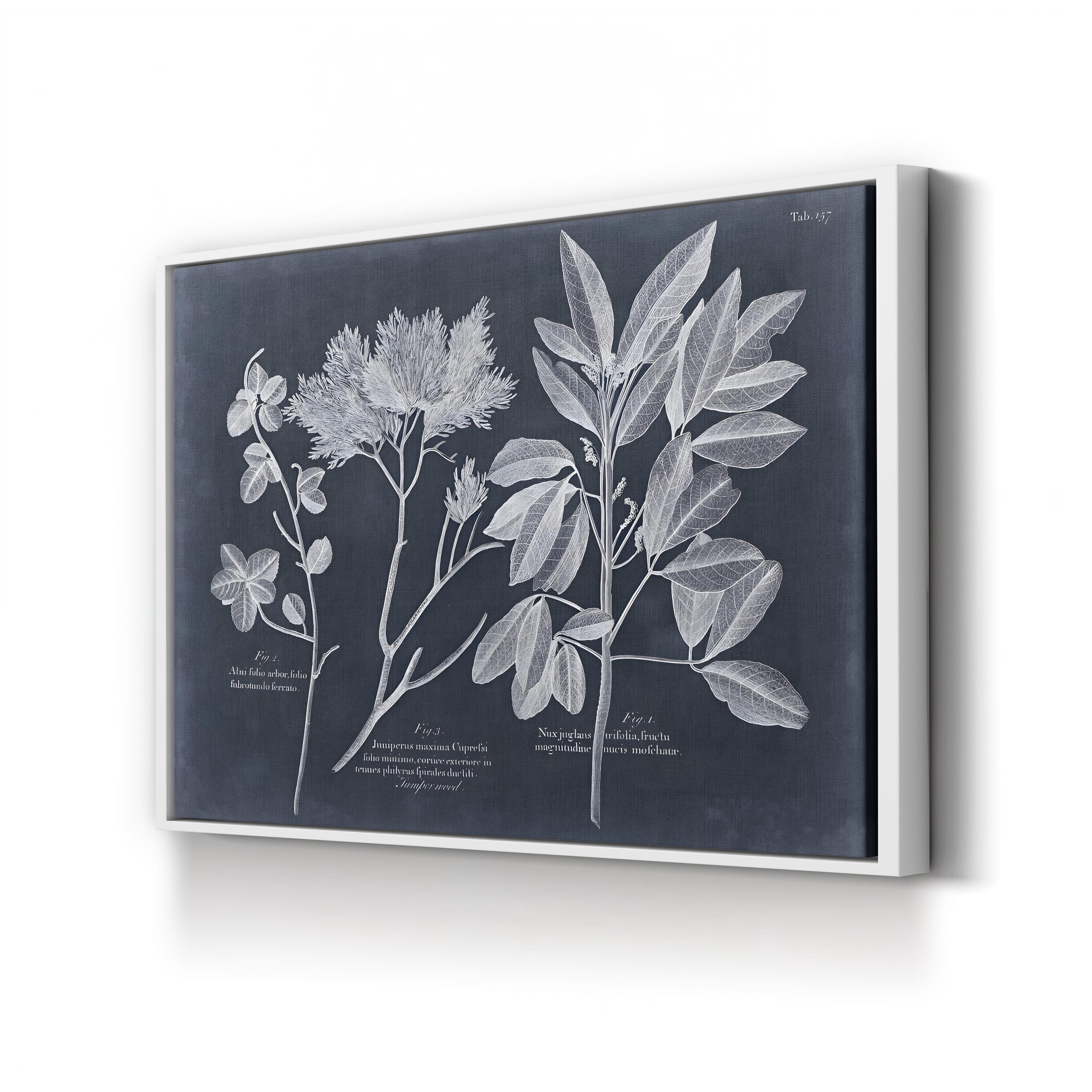 Foliage on Navy VI Wall Art — Vision Studio Vintage Botanical Illustration