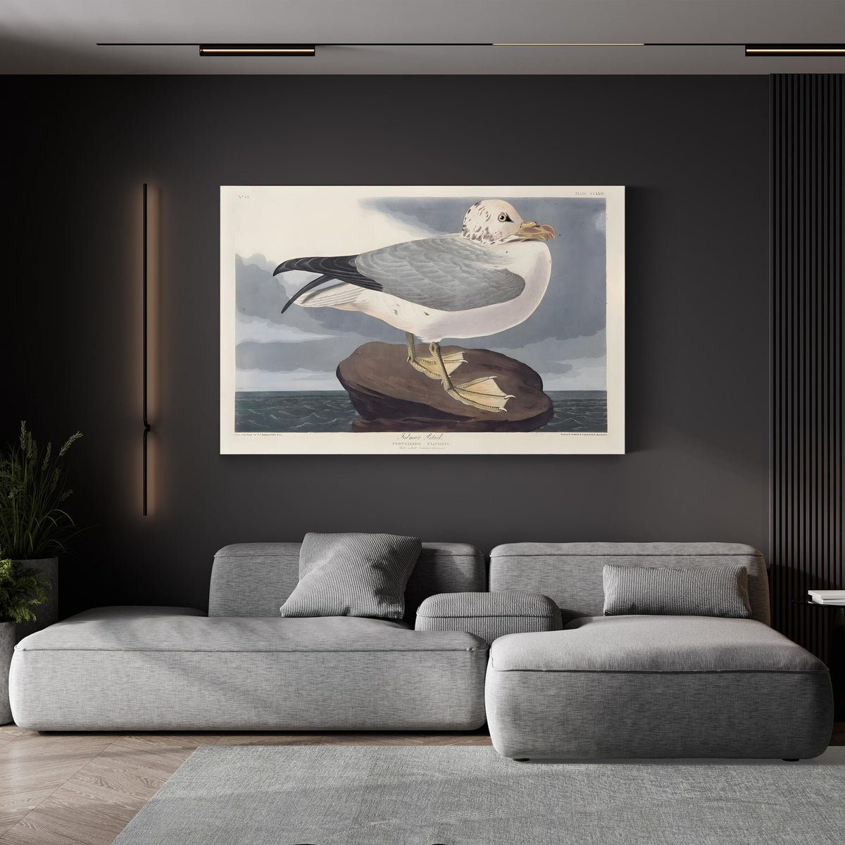 Fulmar Petrel, by John James Audubon canvas print displayed above a gray sofa