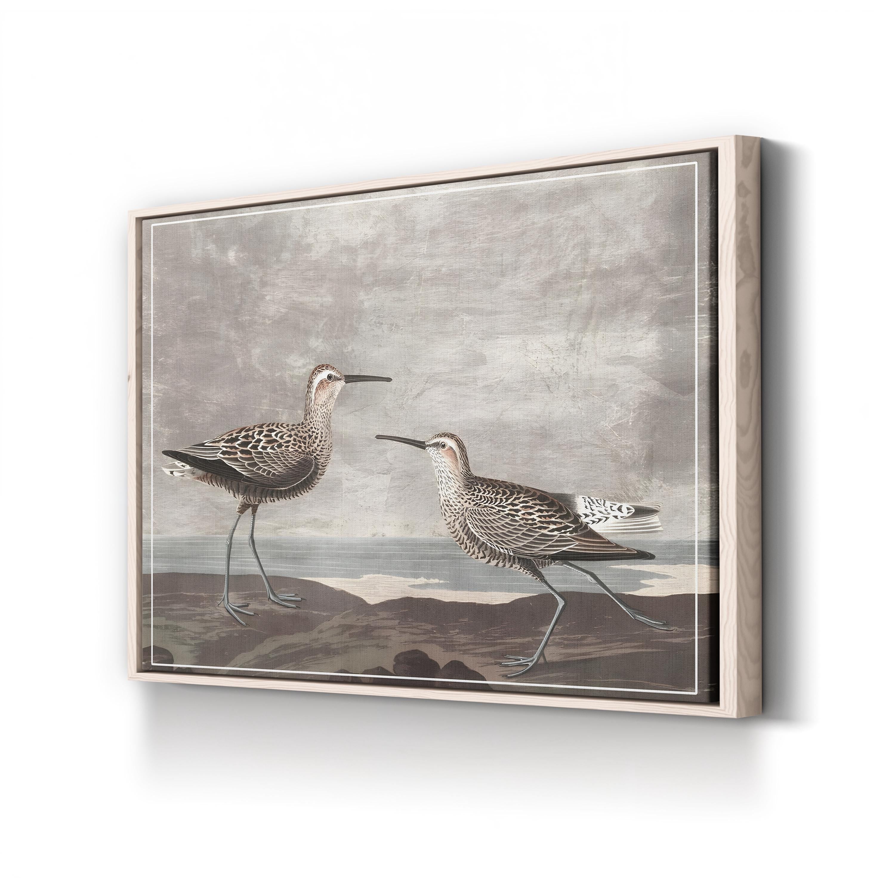 Curved-Bill Shorebirds on the Shore canvas print in Natural frame