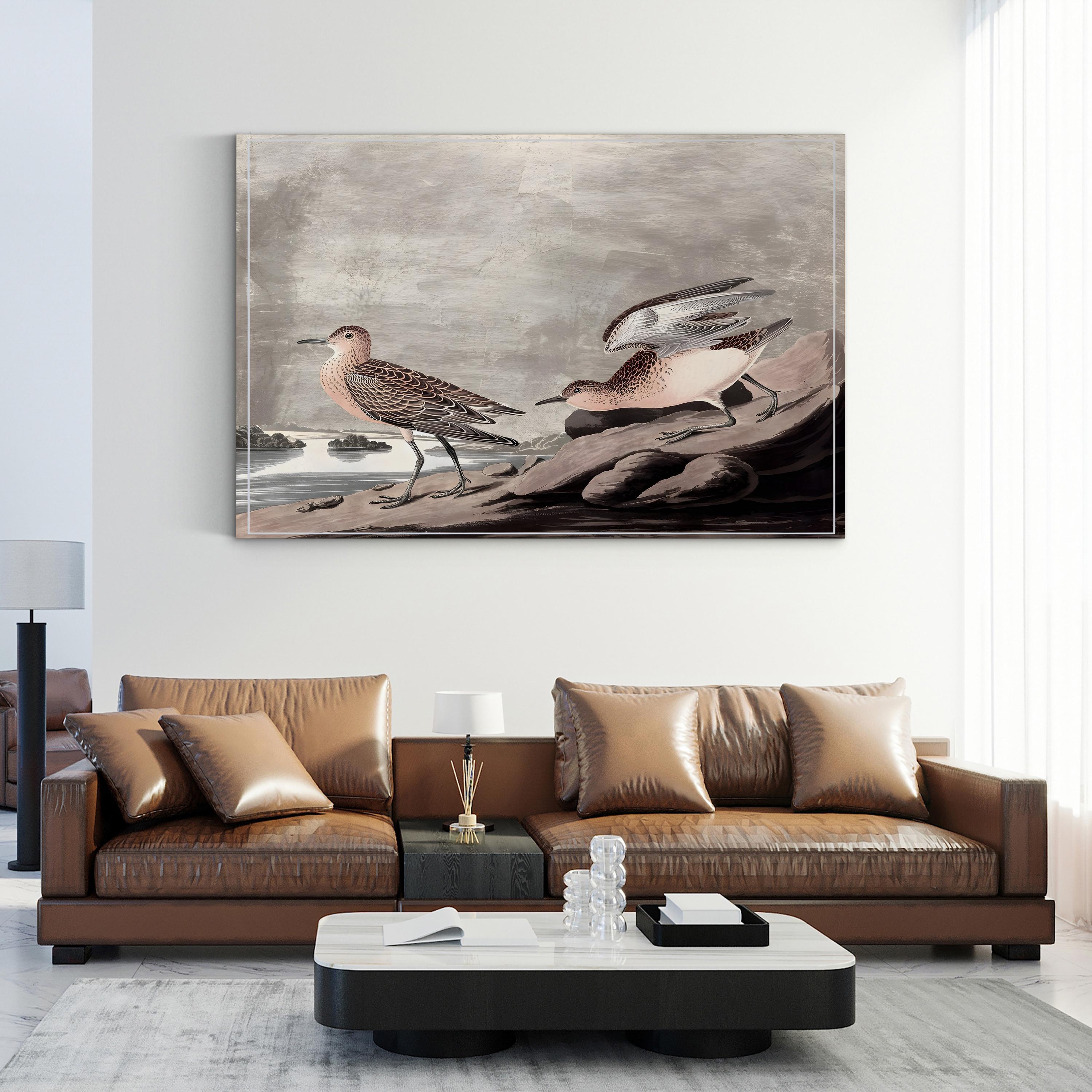 Vintage Audubon Bird Print: Coastal Wildlife Illustration