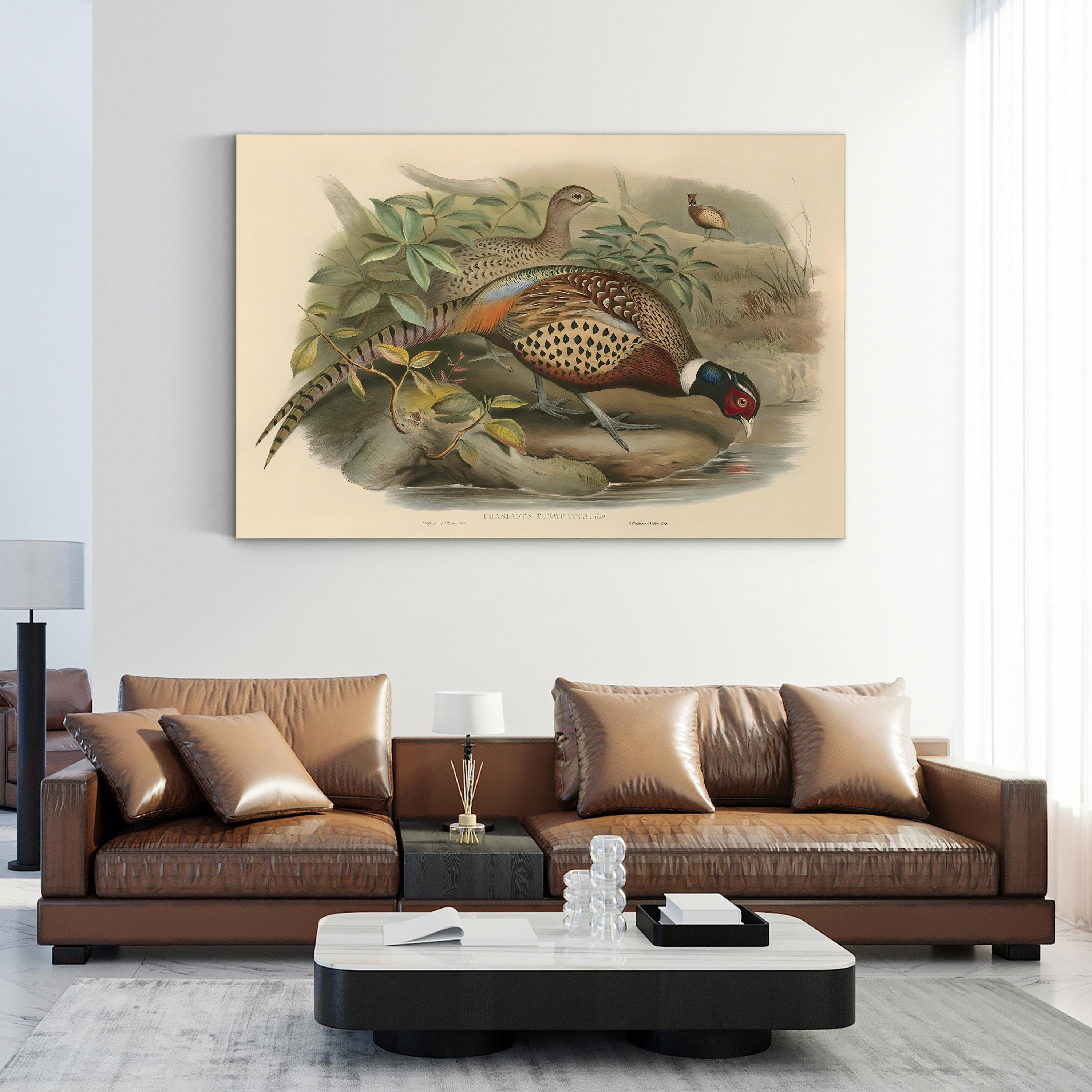 Gould Pheasants I Wall Art | John Gould Vintage Bird Illustration Canvas Print