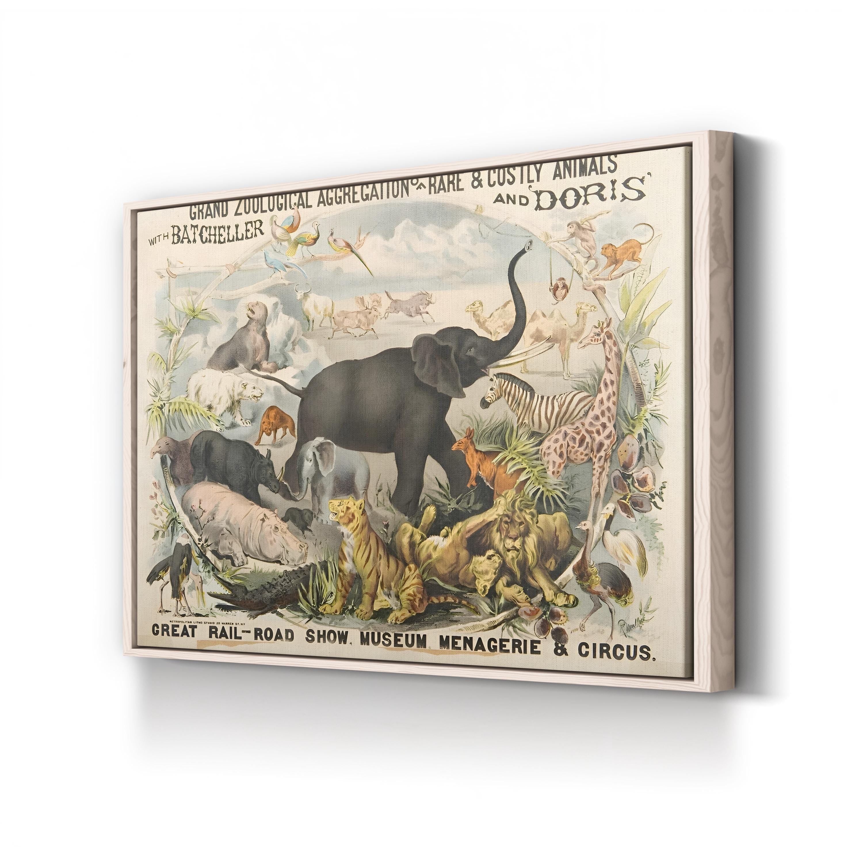 Vintage Zoological Animals – Period Illustration Wall Art | Museum Canvas Print