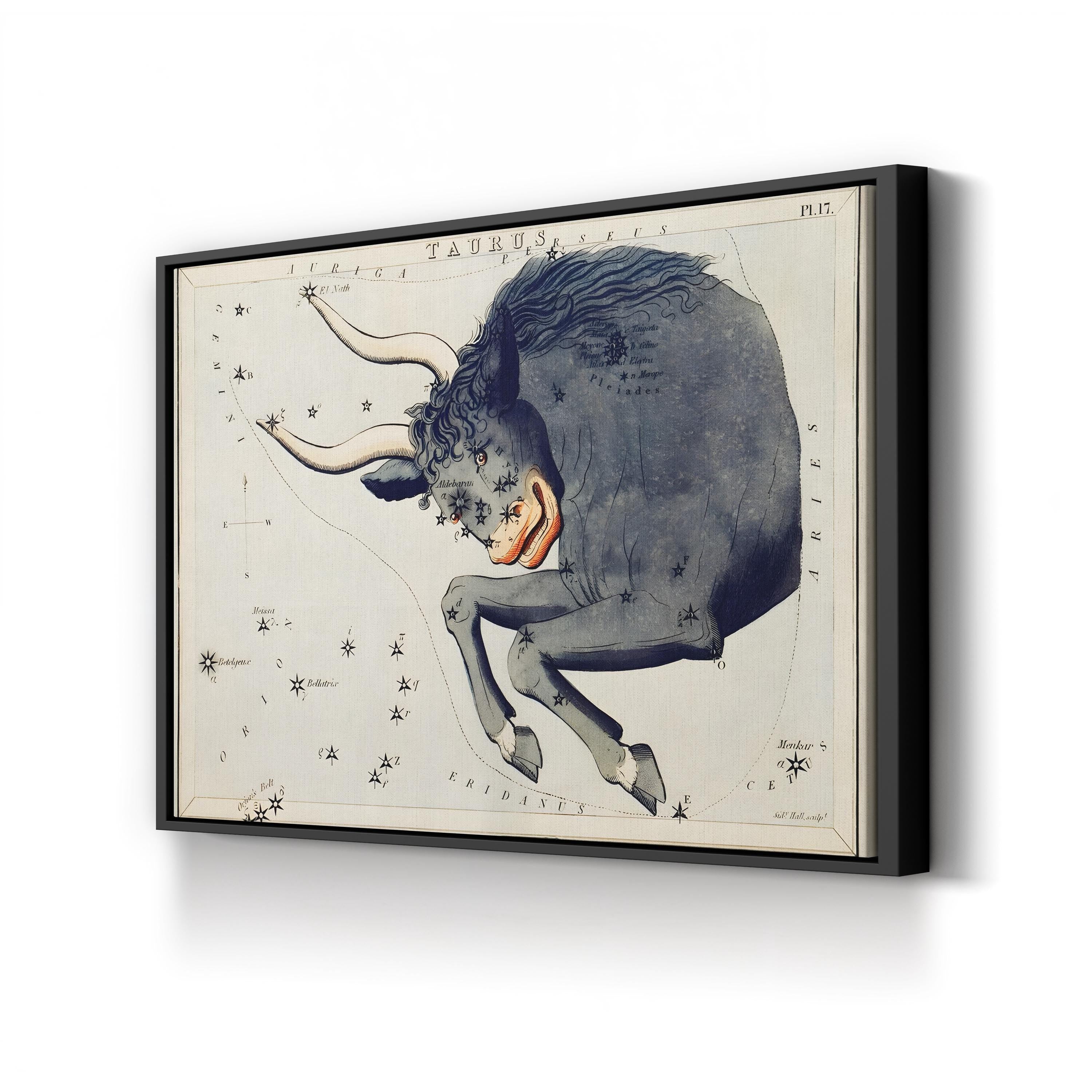 Taurus Constellation Canvas Art Print – Vintage Zodiac Star Map by Sidney Hall
