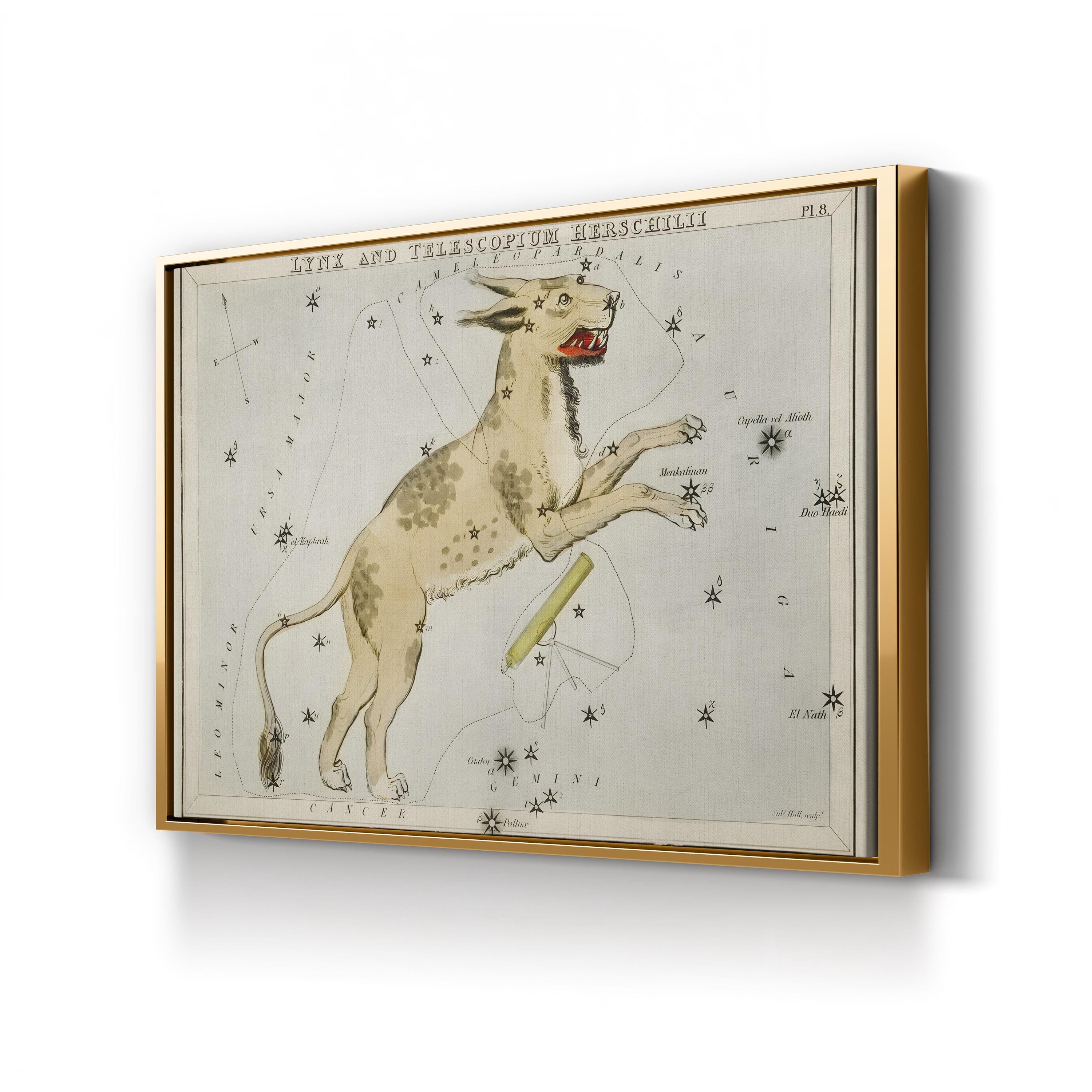 Hall’s Astronomical Illustrations XI Wall Art by Sidney Hall