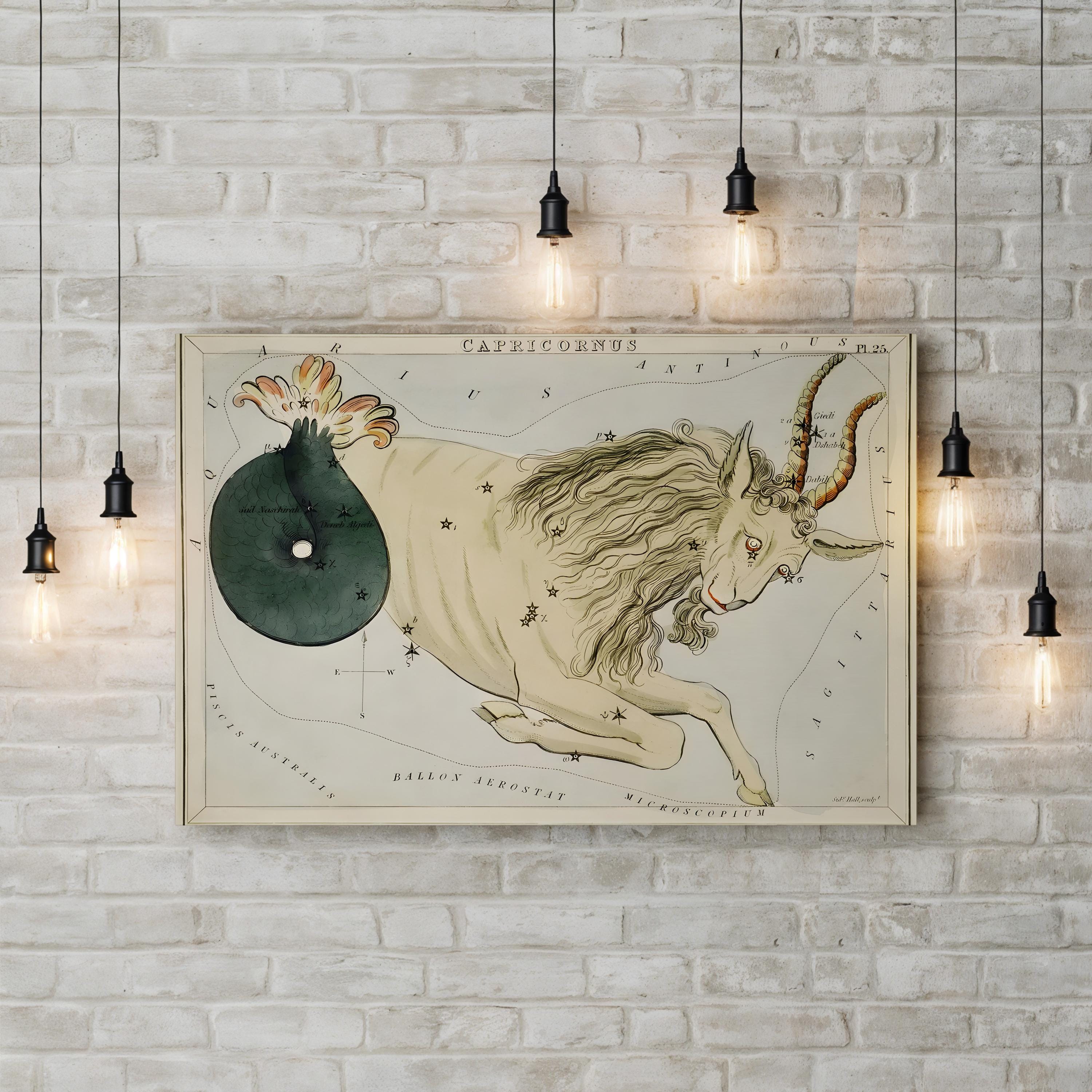 Hall’s Astronomical Illustrations VIII Wall Art by Sidney Hall – Capricorn Star Map Vintage Astrology Canvas Print