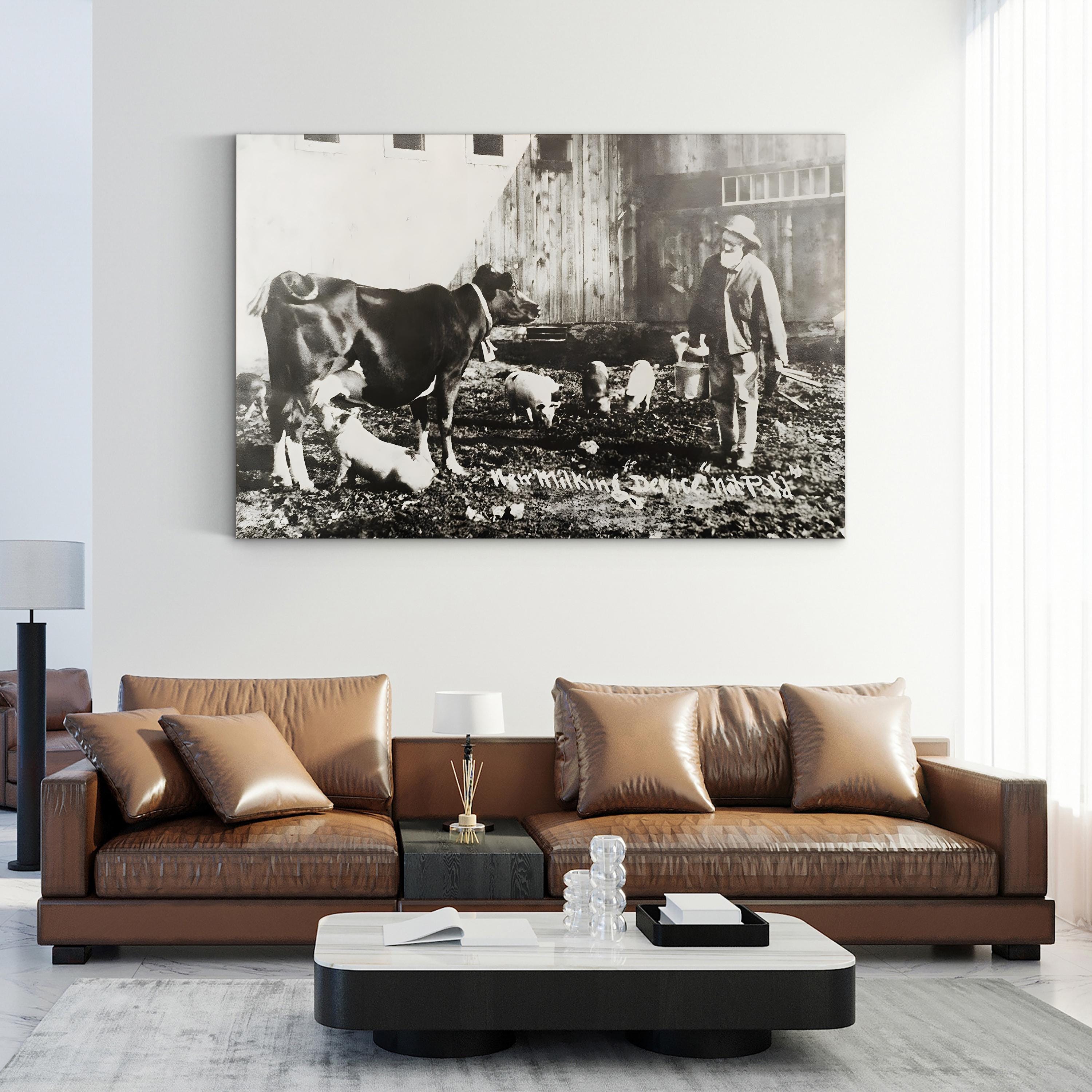 19th Century Farm Life Wall Art – Piglet Nursing from Cow Historic Photograph
