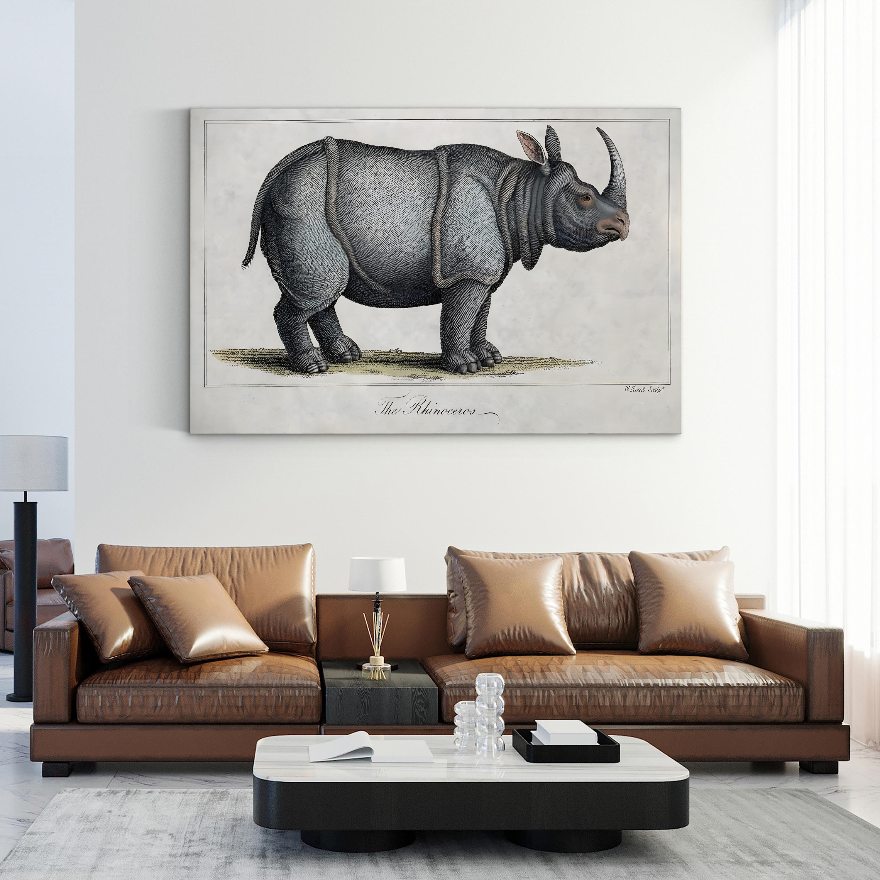 Vintage Rhinoceros Engraving – Period Illustration Wall Art | Antique Wildlife Canvas Print
