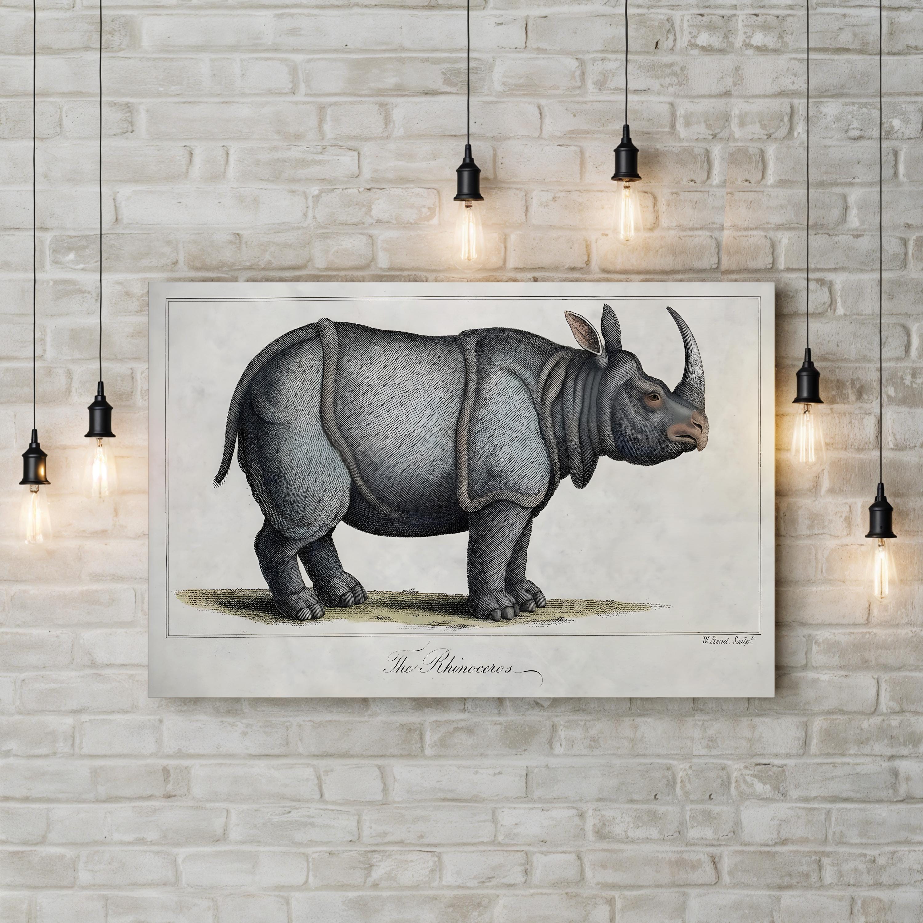 Vintage Rhinoceros Engraving – Period Illustration Wall Art | Antique Wildlife Canvas Print