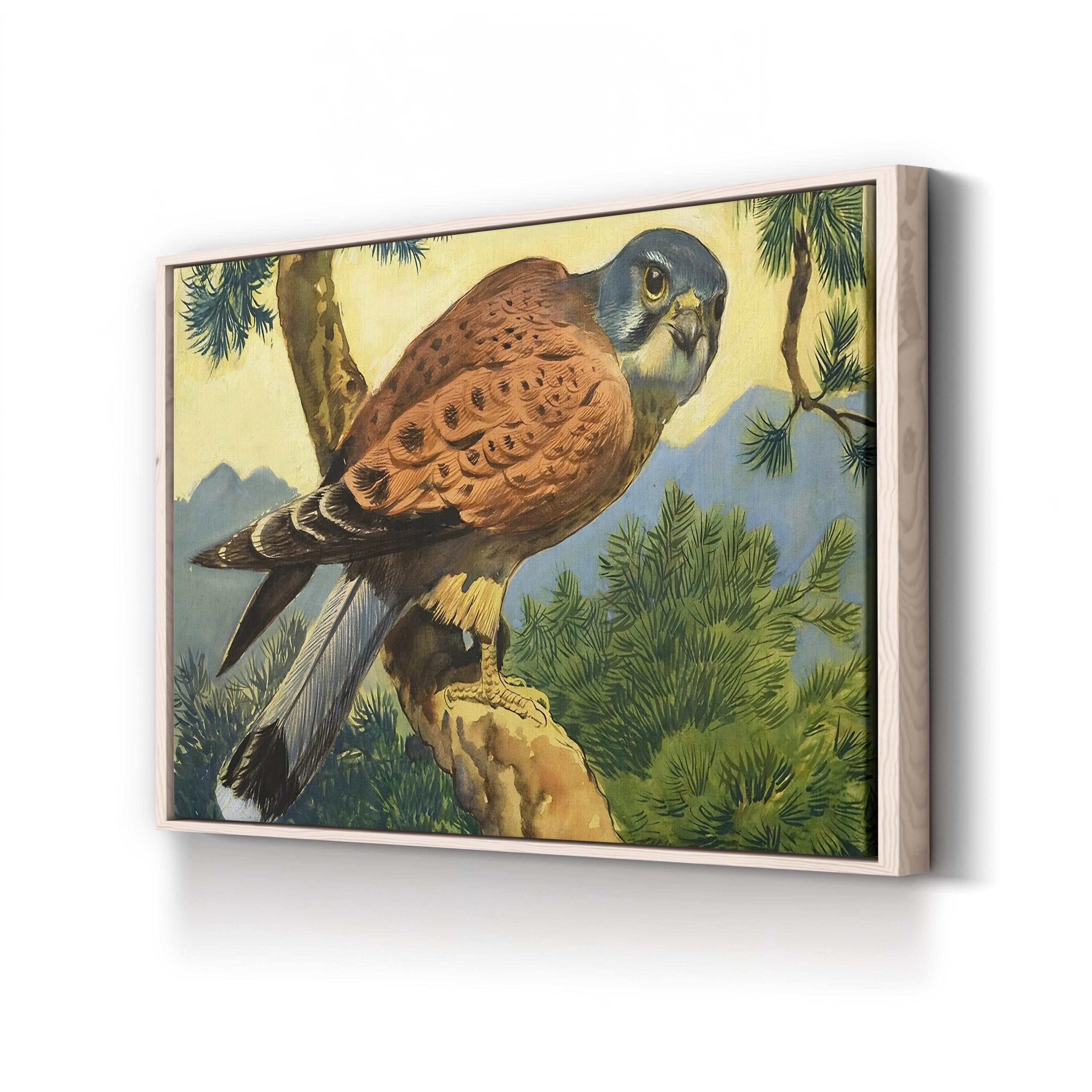 Kestrel Falcon, 1966 – Period Illustration Wall Art | Wildlife Canvas Print
