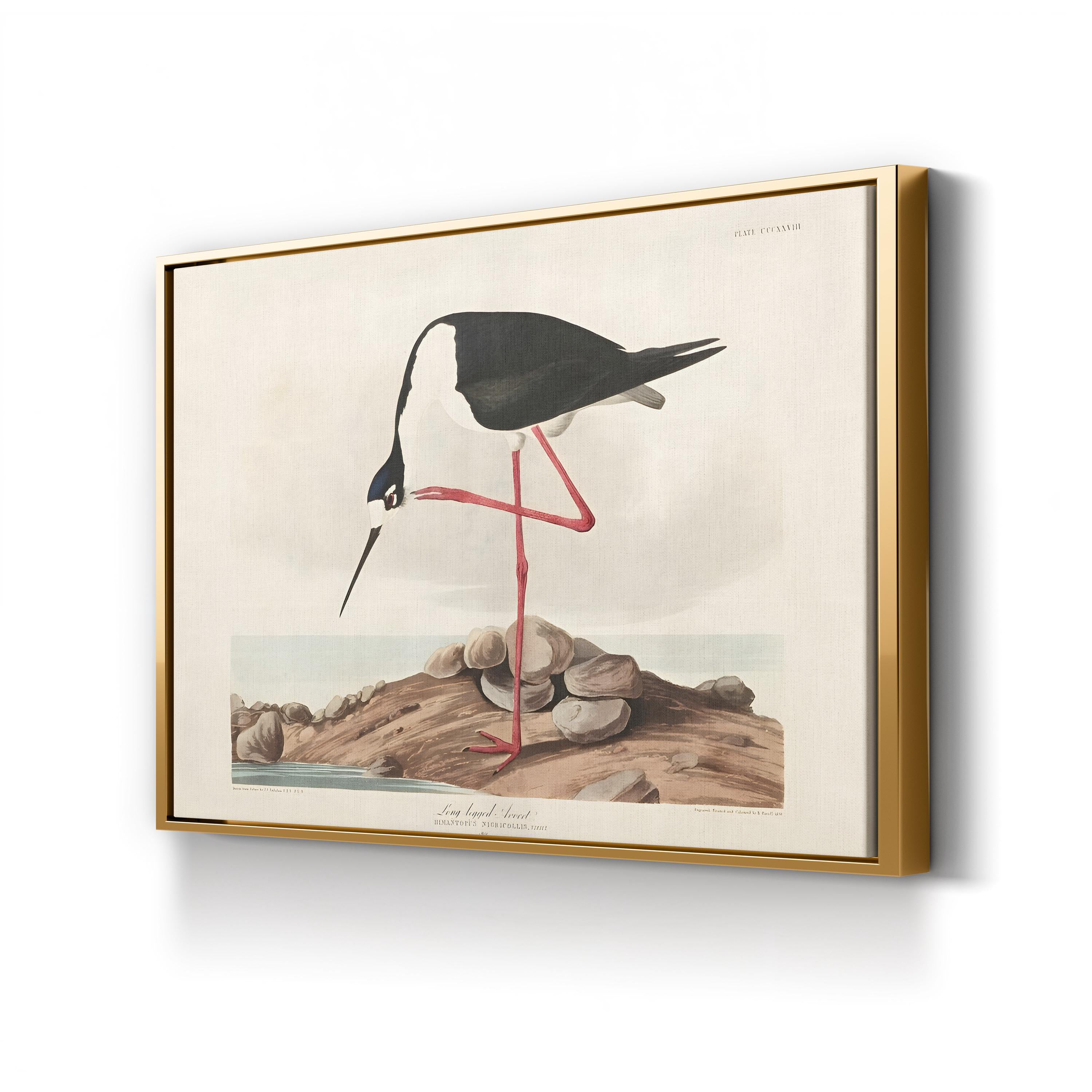 Framed artwork of a long-legged avocet bird on a rock with a gold frame