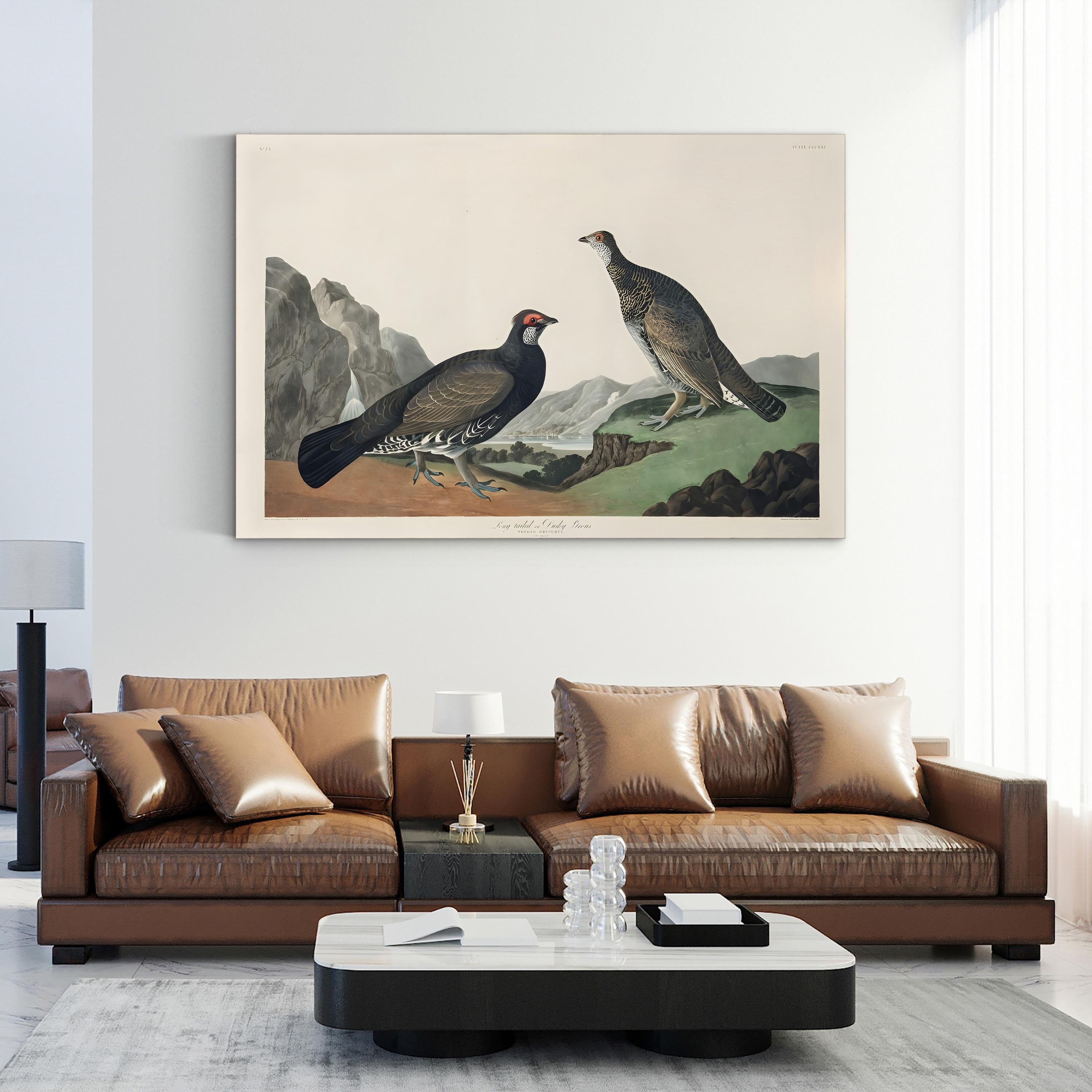 Long-Tailed or Dusky Grouse Wall Art – John James Audubon | Vintage Wildlife Lithograph Canvas Print