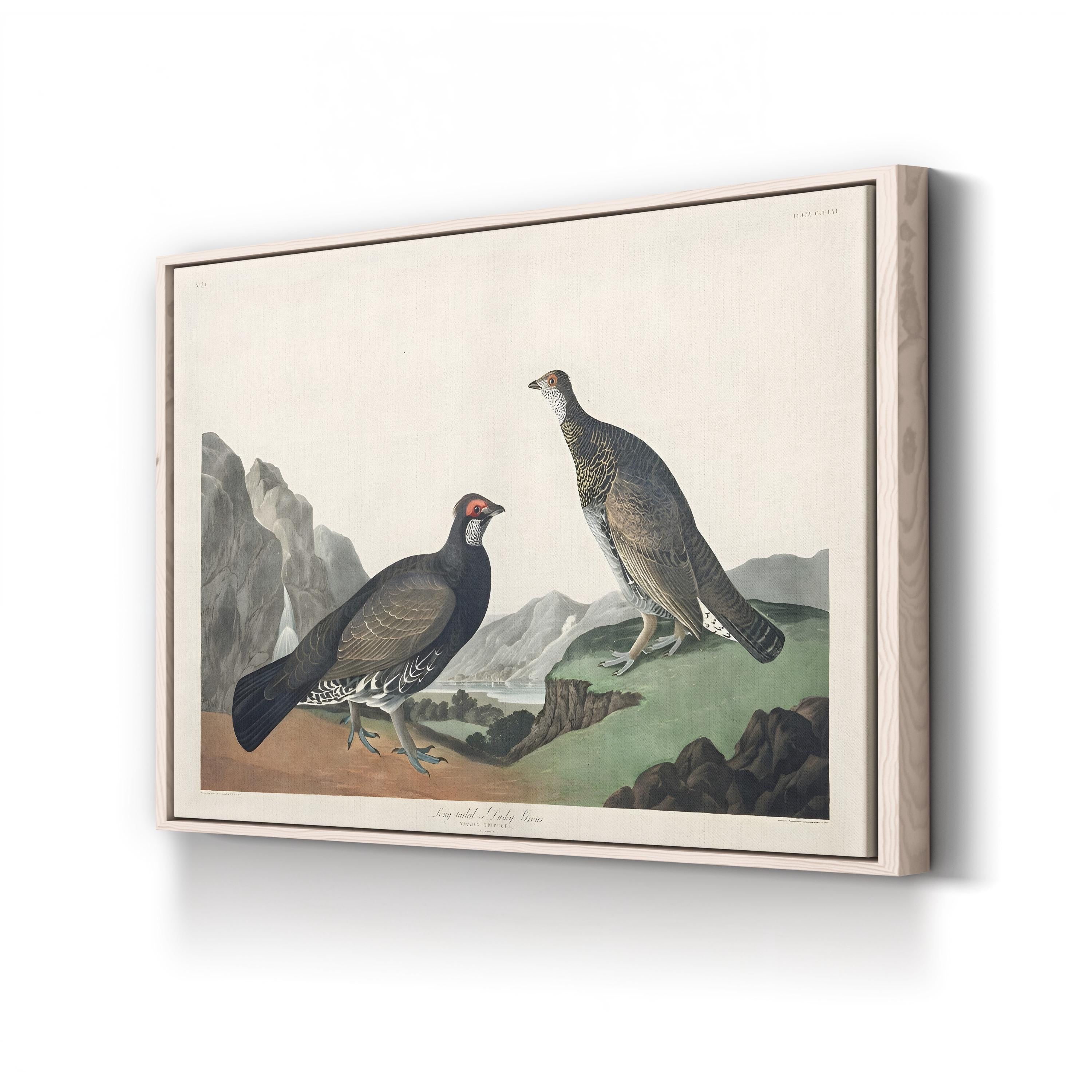 Long-Tailed or Dusky Grouse Wall Art – John James Audubon | Vintage Wildlife Lithograph Canvas Print