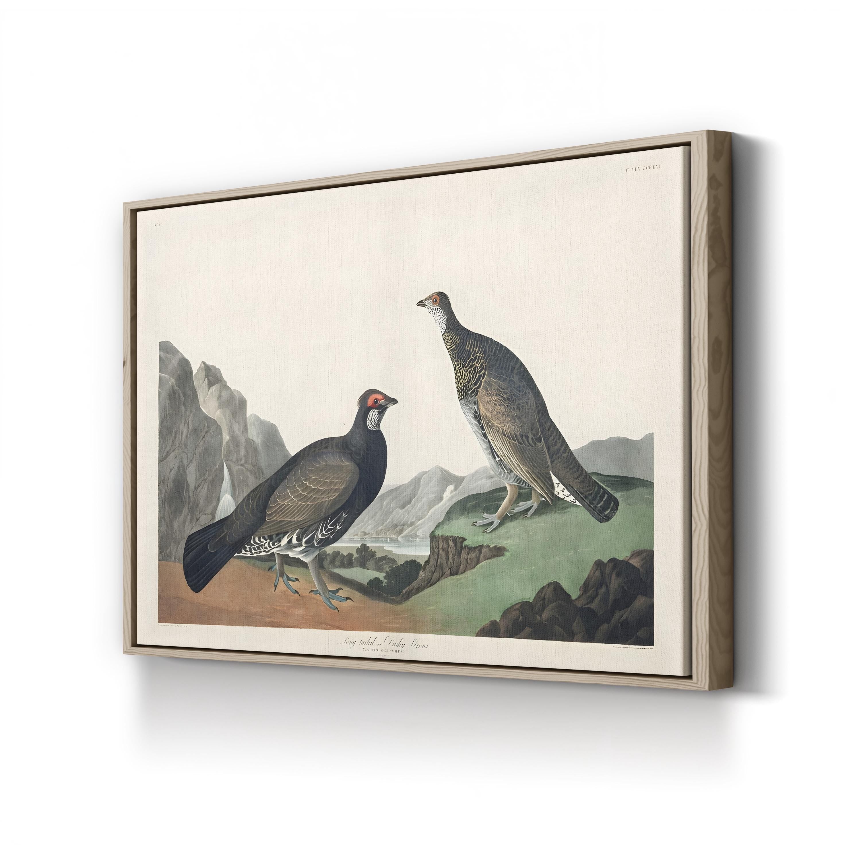 Long-Tailed or Dusky Grouse Wall Art – John James Audubon | Vintage Wildlife Lithograph Canvas Print