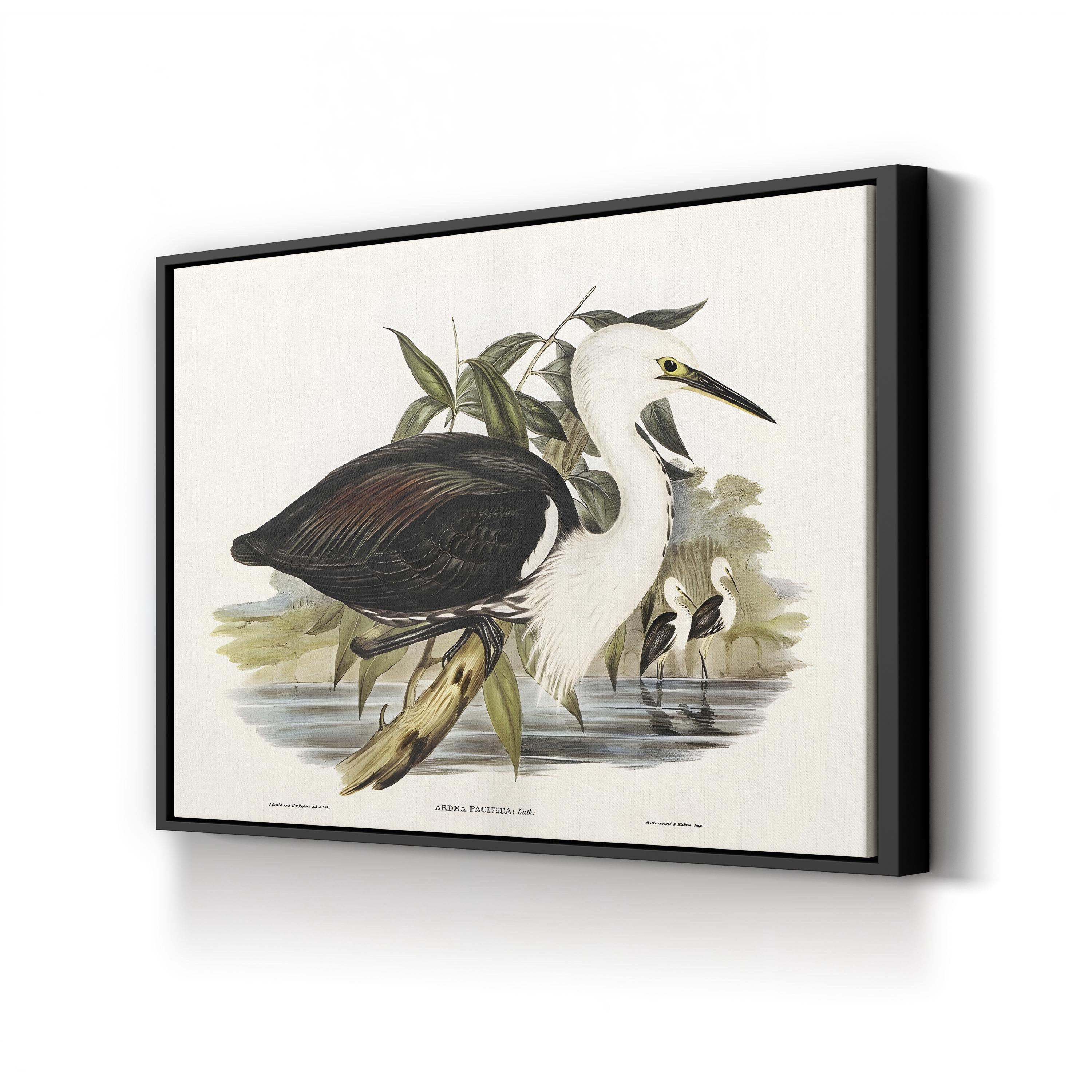 Majestic Waterbird V by Elizabeth Gould