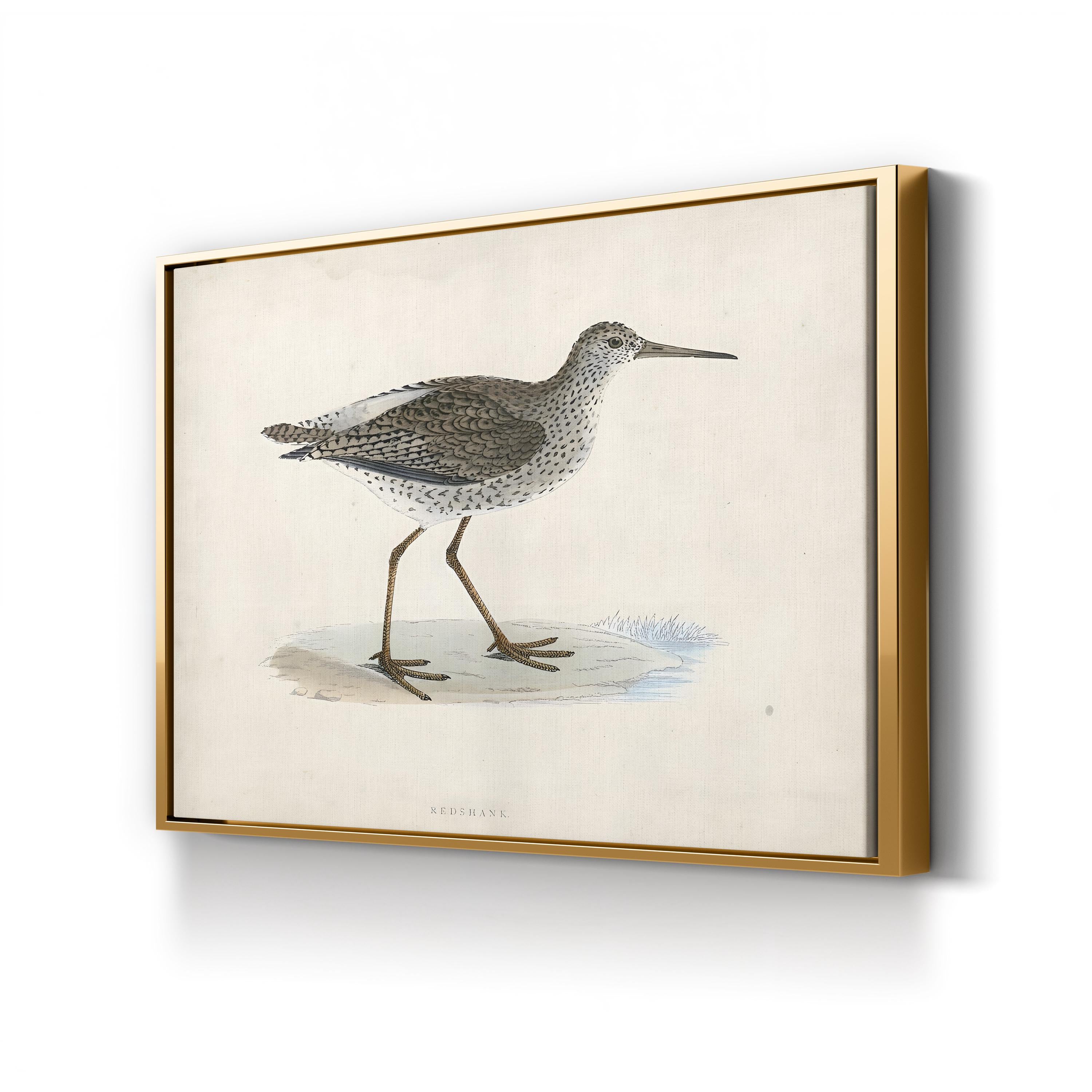 Vintage Sandpiper, Neutral Tones – Period Illustration Wall Art | Coastal Canvas Print