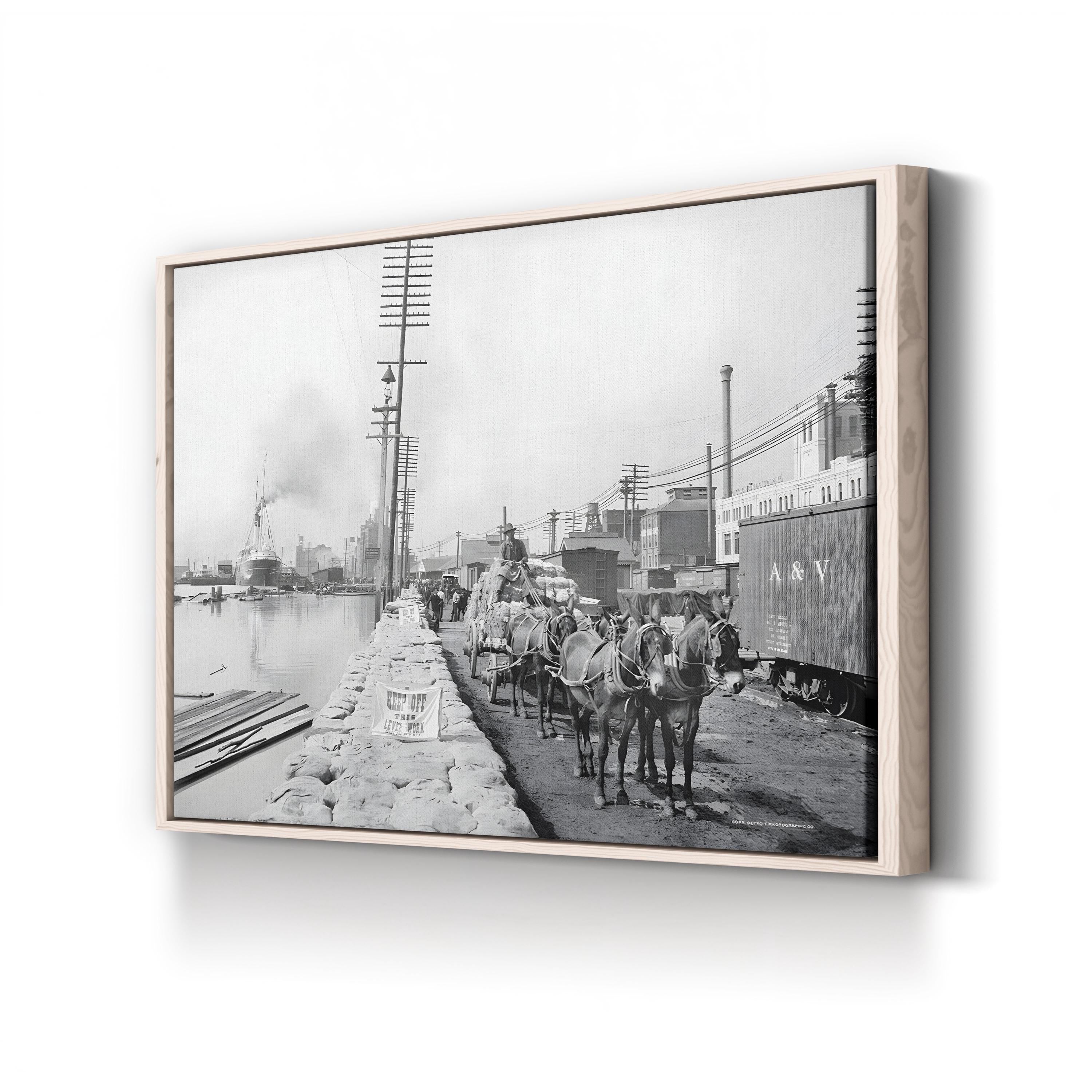 New Orleans Mule Team on the Levee, c. 1903 canvas print in a natural wood frame