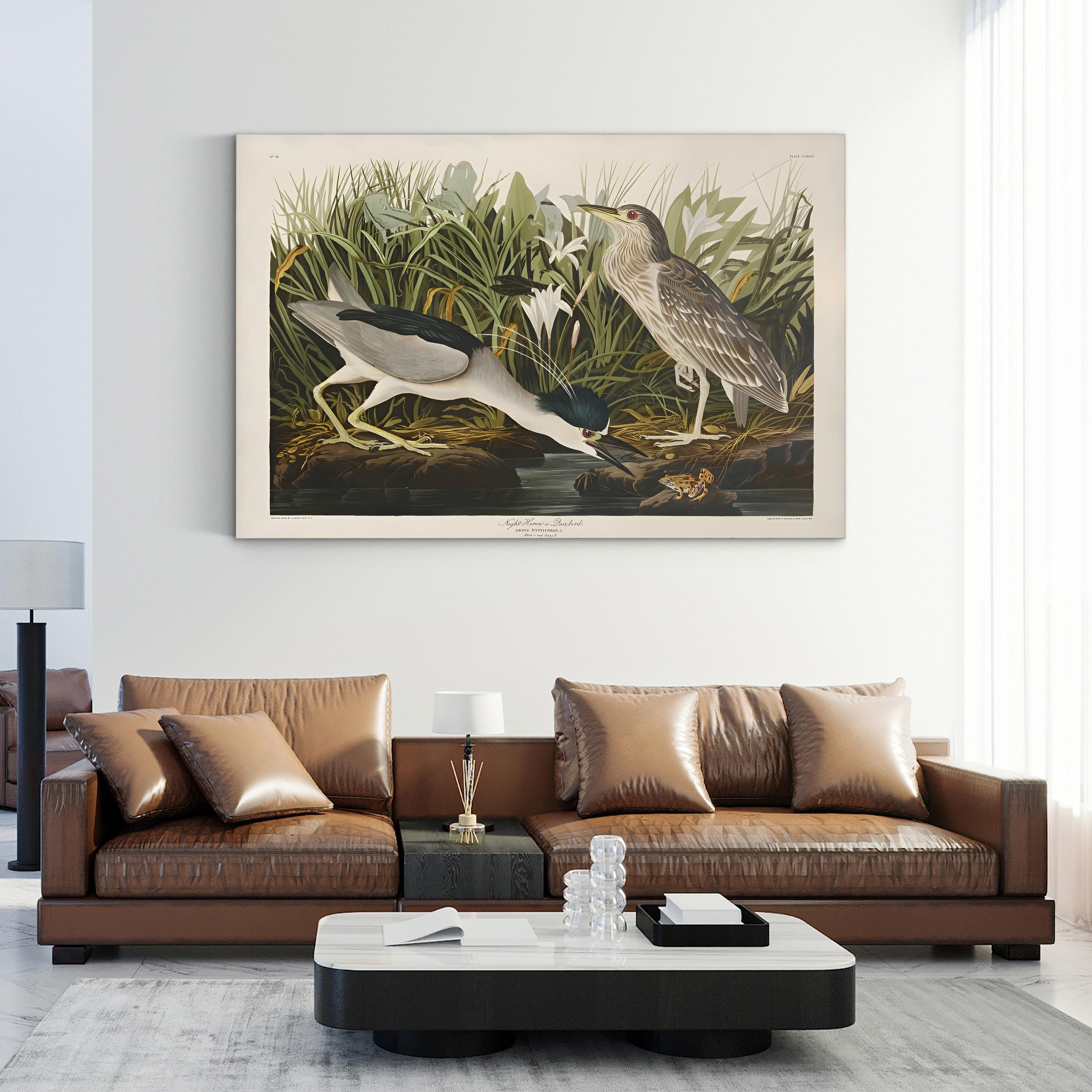 Night Heron – John James Audubon Wall Art | Vintage Wetlands Bird Canvas Print