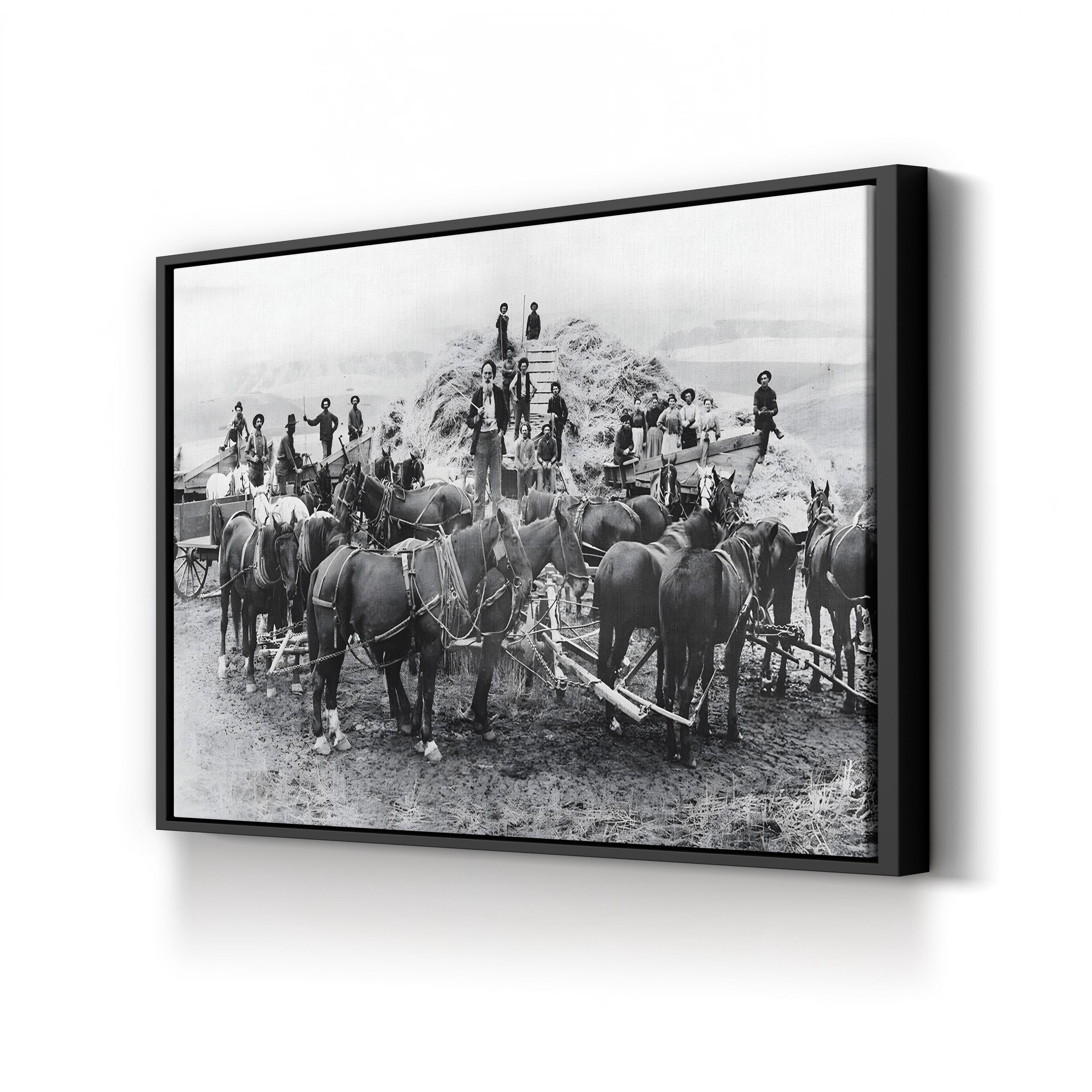 Oregon Wheat Harvest c.1880 – Vintage Photography Wall Art | Western Frontier Canvas Print