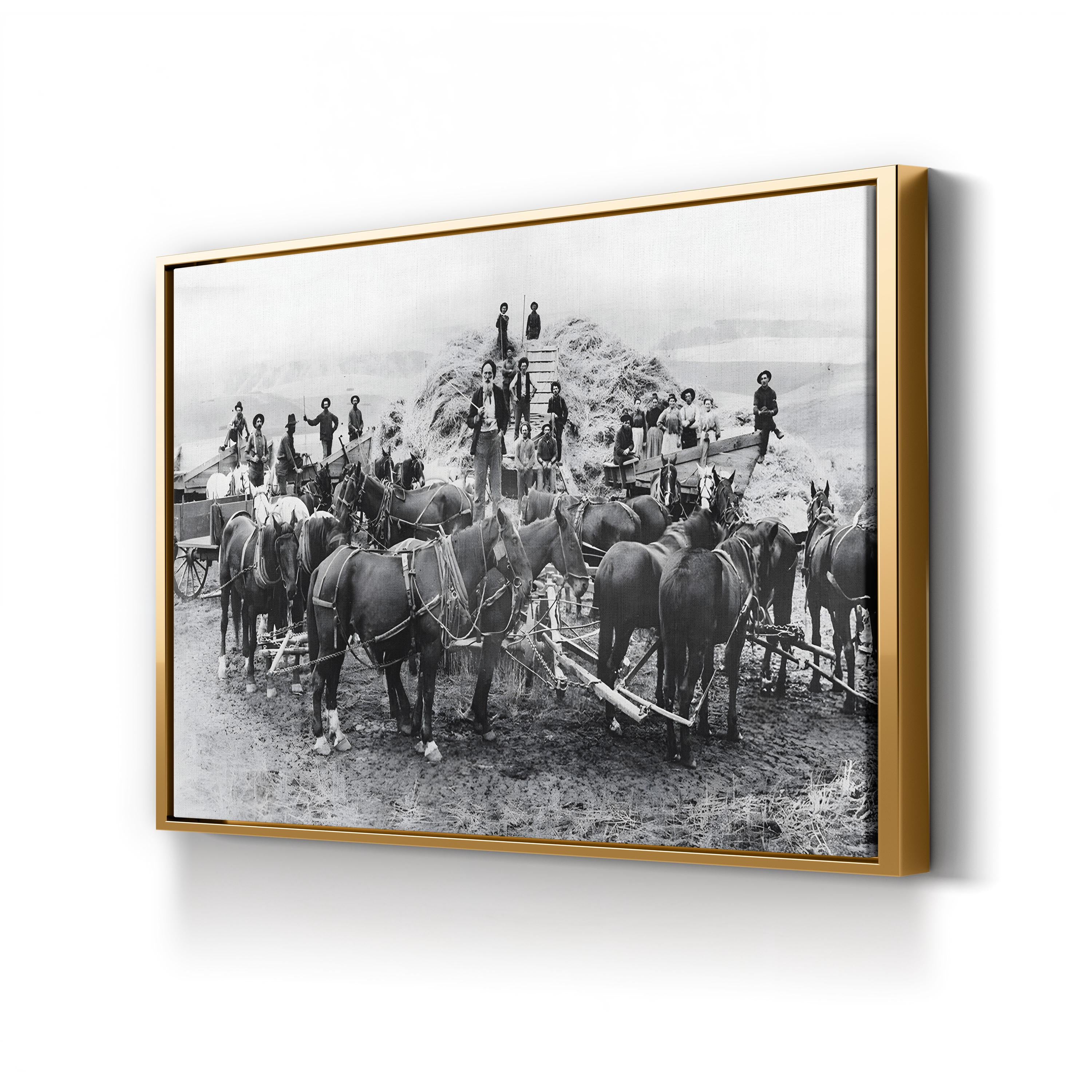 Oregon Wheat Harvest c.1880 – Vintage Photography Wall Art | Western Frontier Canvas Print