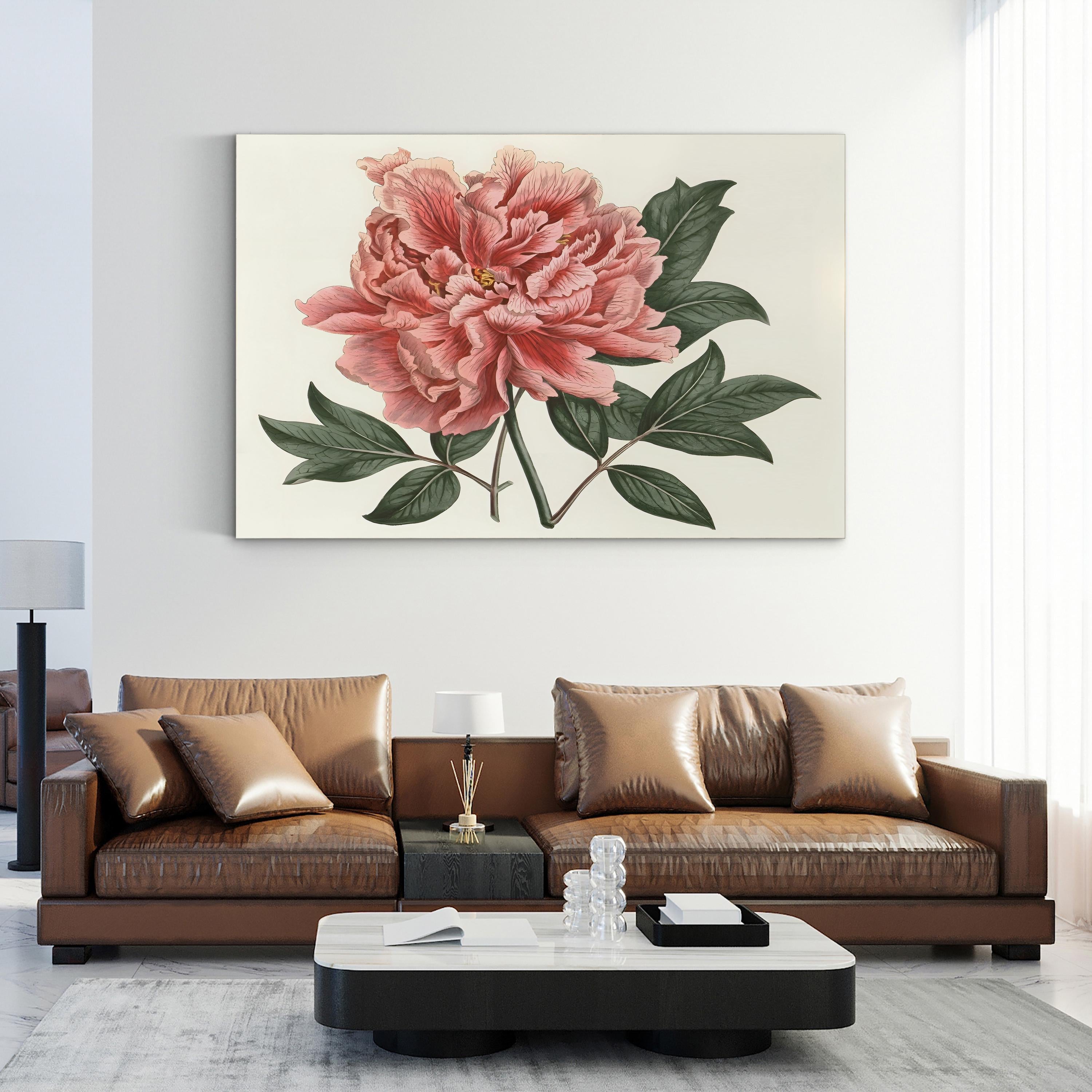 Peony Blush I – Vintage Botanical Floral Wall Art by Curtis Art