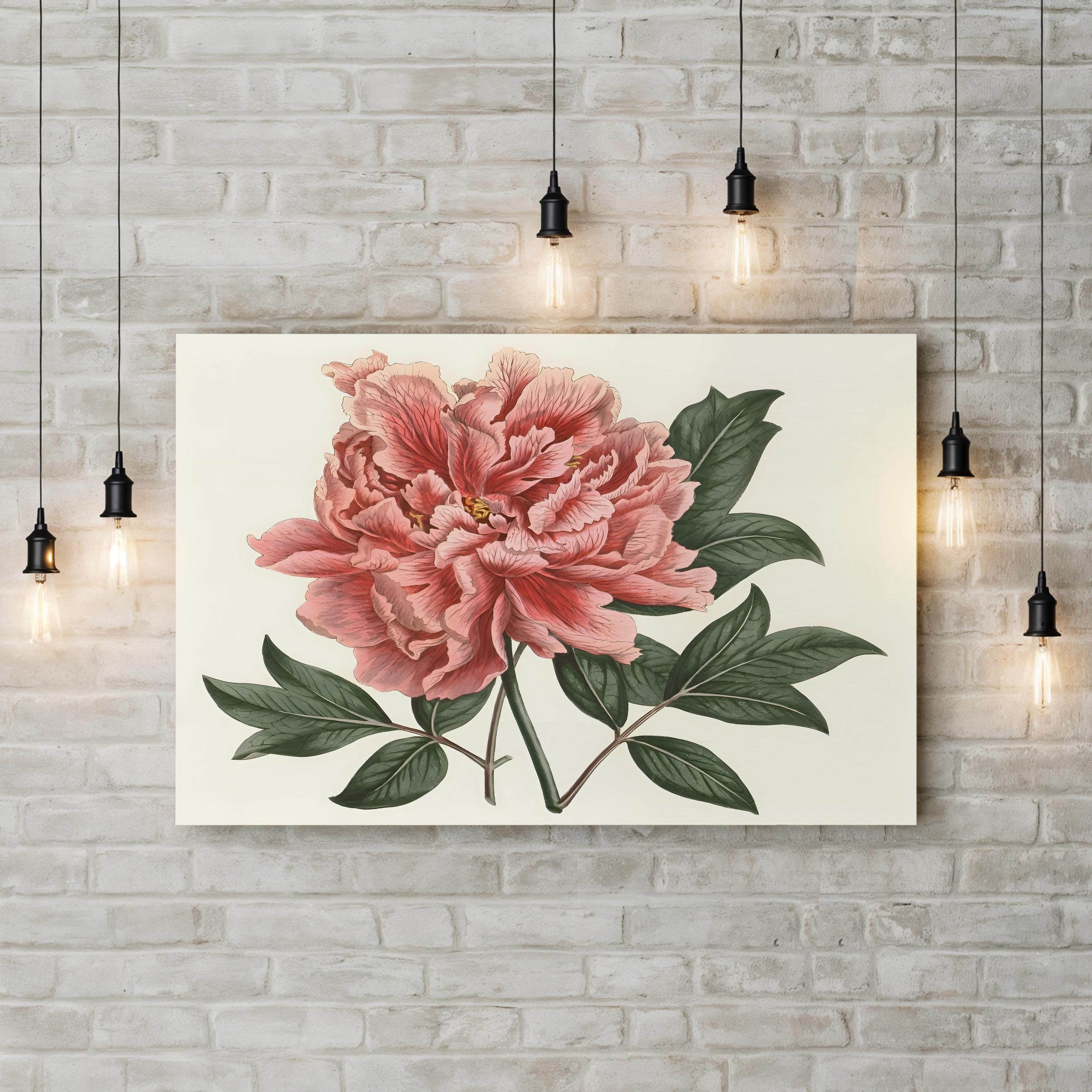 Peony Blush I – Vintage Botanical Floral Wall Art by Curtis Art
