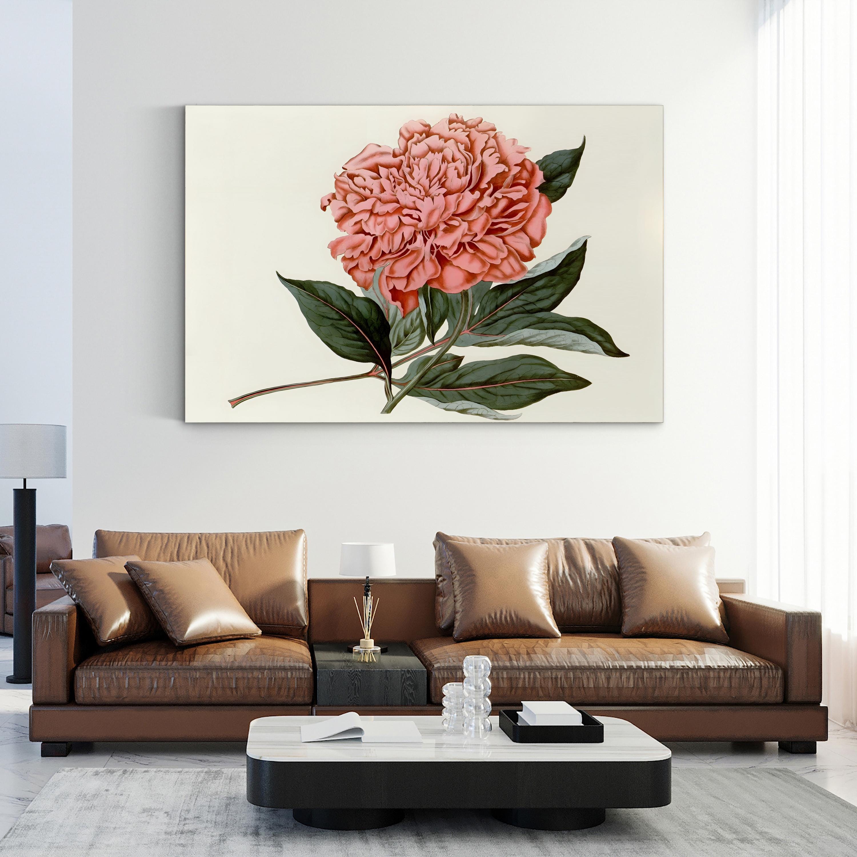 Peony Blush II – Vintage Botanical Floral Wall Art by Curtis Art