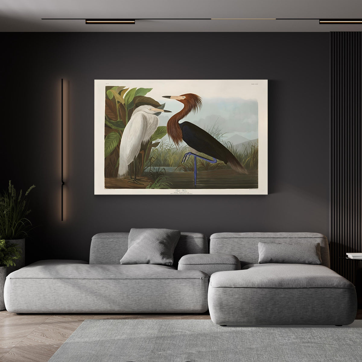 Purple Heron, c. 1836 by John James Audubon canvas print displayed in a living room
