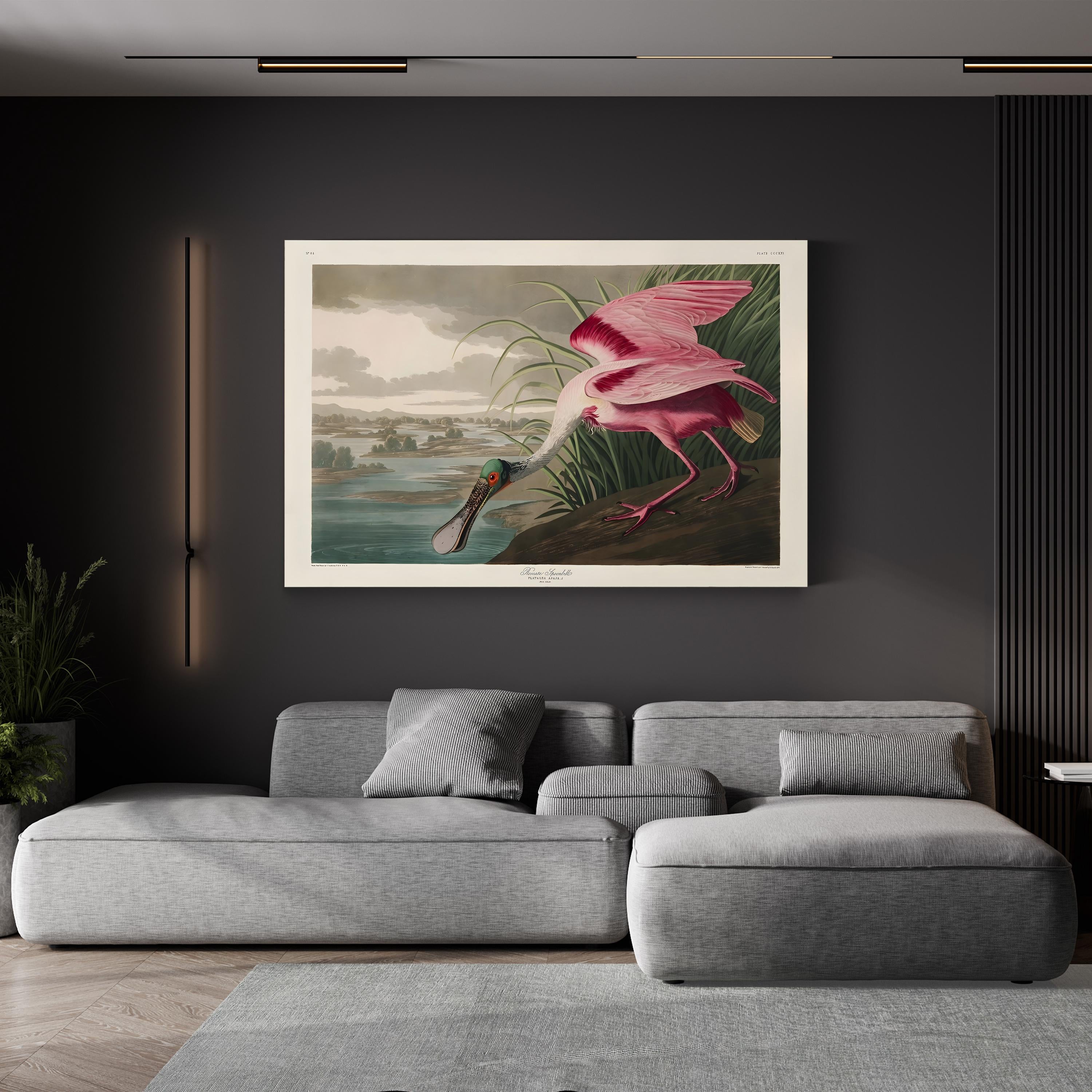 Roseate Spoonbills II Wall Art – Vintage Wildlife Bird Illustration Canvas