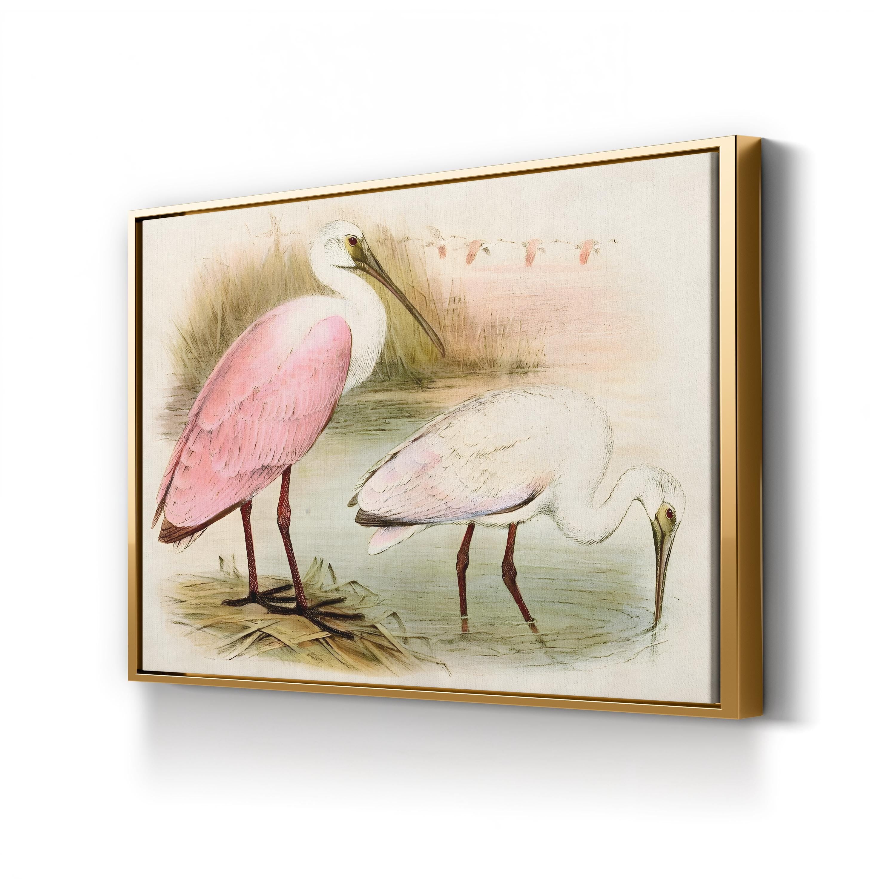 Roseate Spoonbill Elegance – Period Illustration Wall Art | Coastal Bird Canvas Print