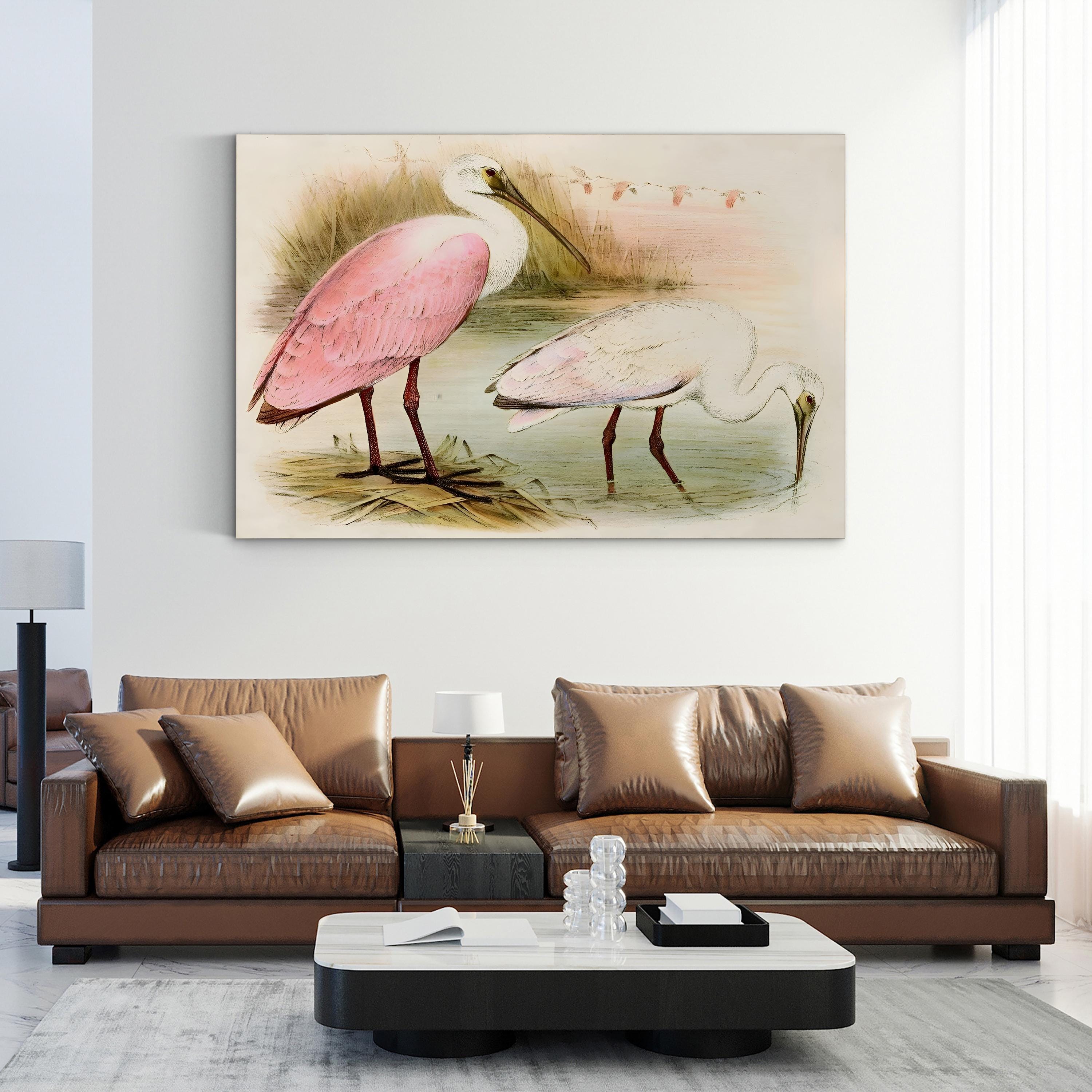 Roseate Spoonbill Elegance – Period Illustration Wall Art | Coastal Bird Canvas Print