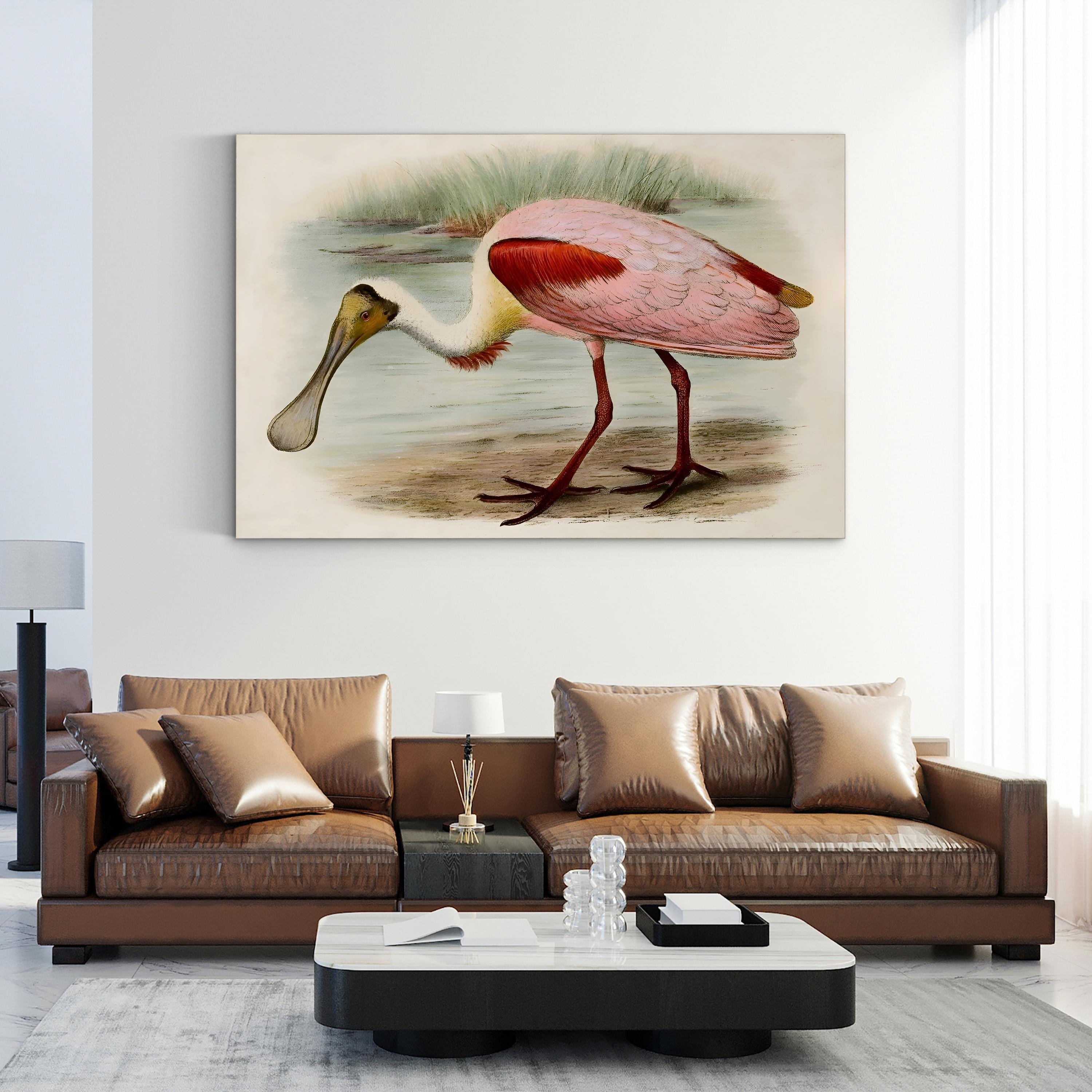 Roseate Spoonbills II Wall Art – Vintage Wildlife Bird Illustration Canvas