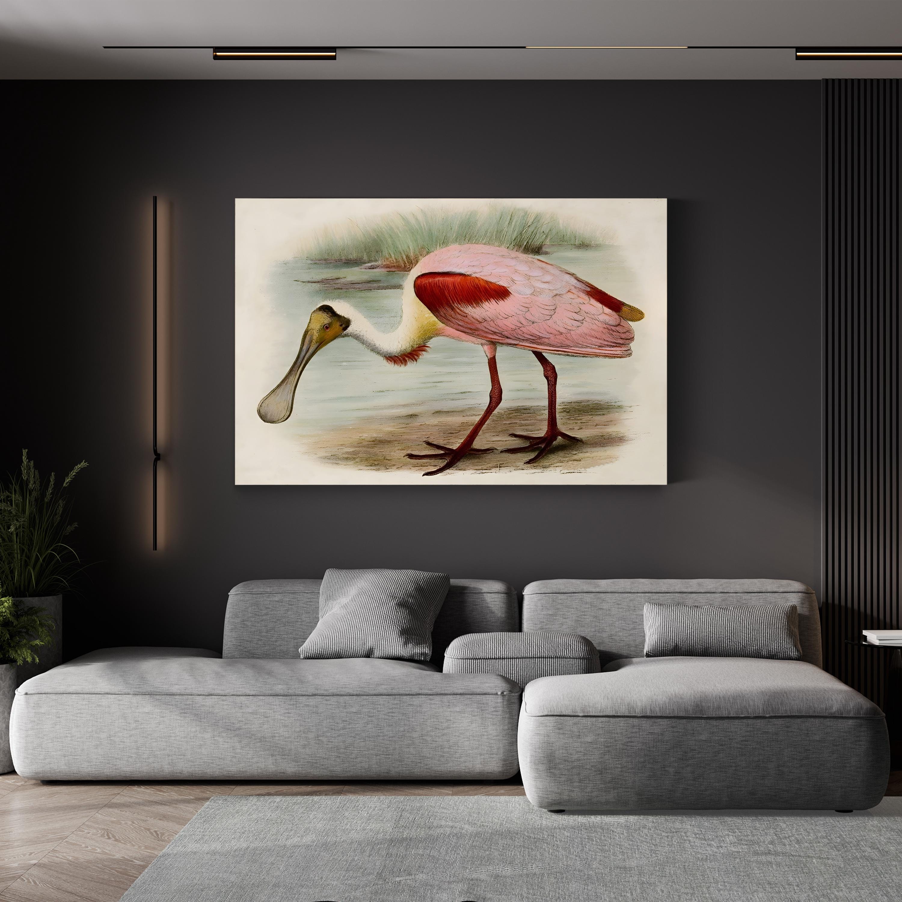 Roseate Spoonbills II Wall Art – Vintage Wildlife Bird Illustration Canvas