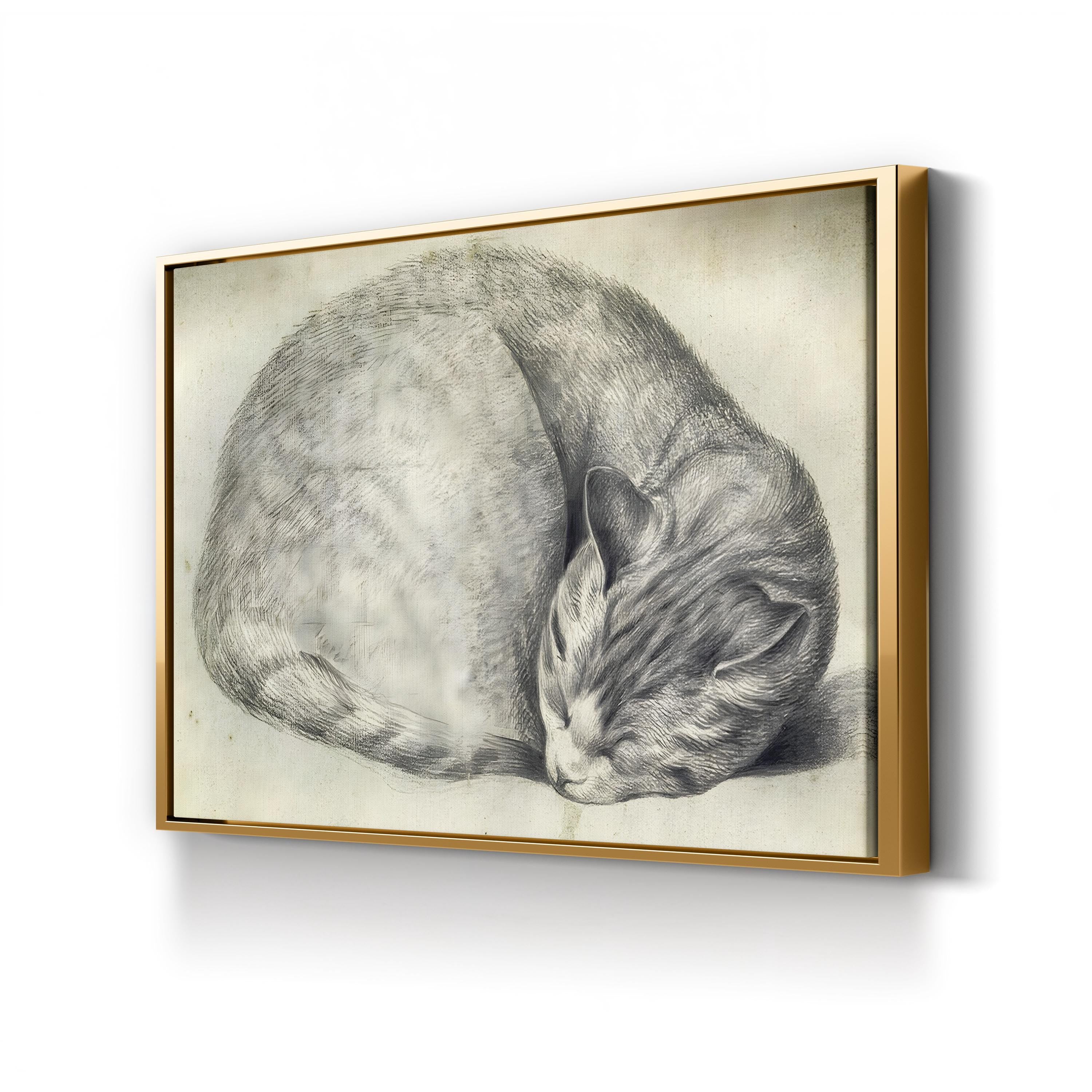 Sleeping Cat Canvas Art Print – Vintage Pencil Drawing, Animal Wall Art