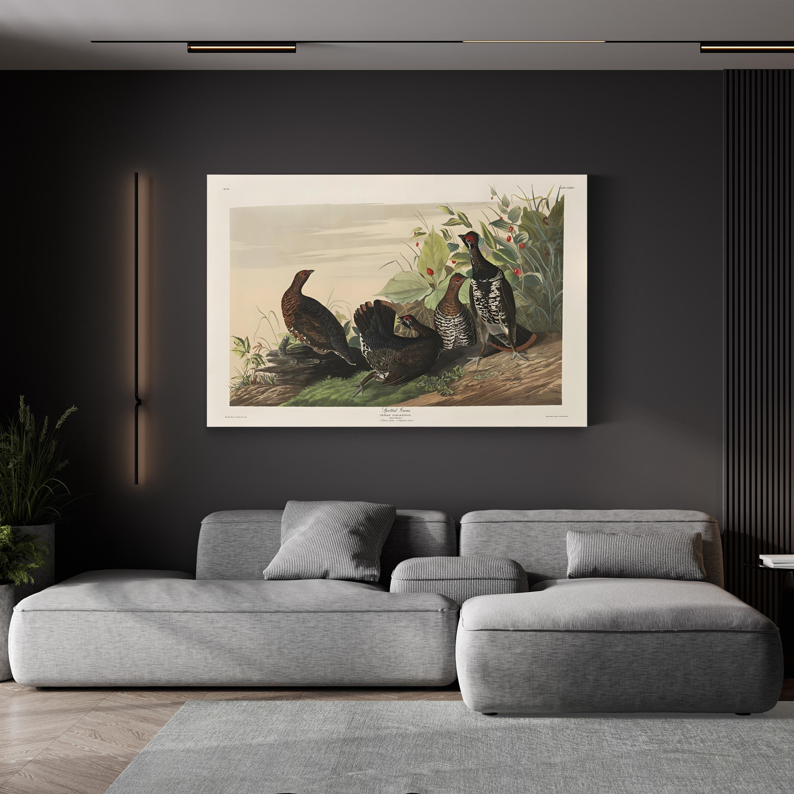 Spotted Grouse, 19th Century – Period Illustration Wall Art | Bird Engraving Canvas Print