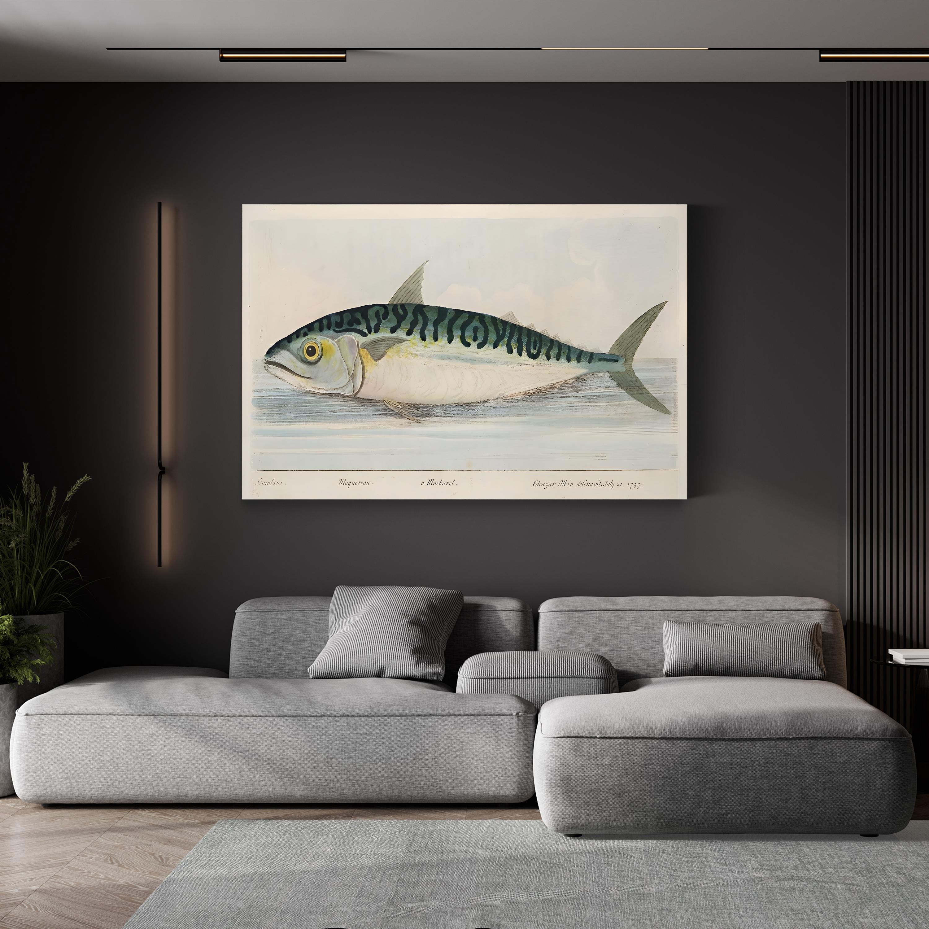 The Mackerel (1832) Wall Art by Eleazar Albin – Antique Natural History Fish Engraving