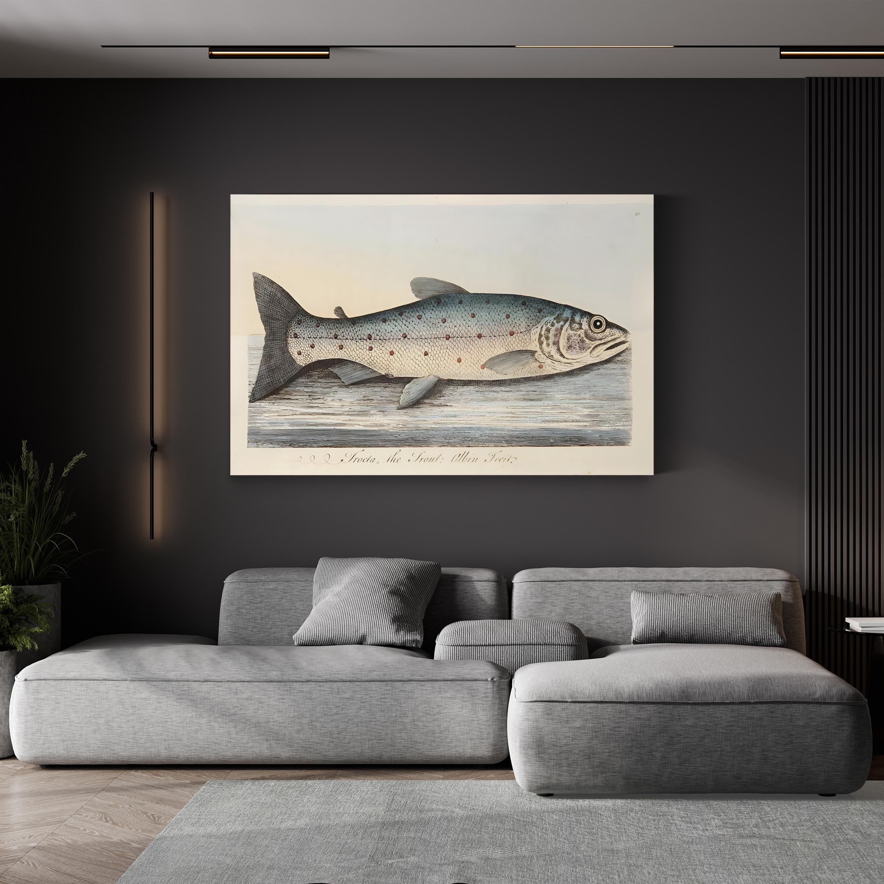 The Trout, 1832 by Eleazar Albin canvas print in Gallery Canvas frame