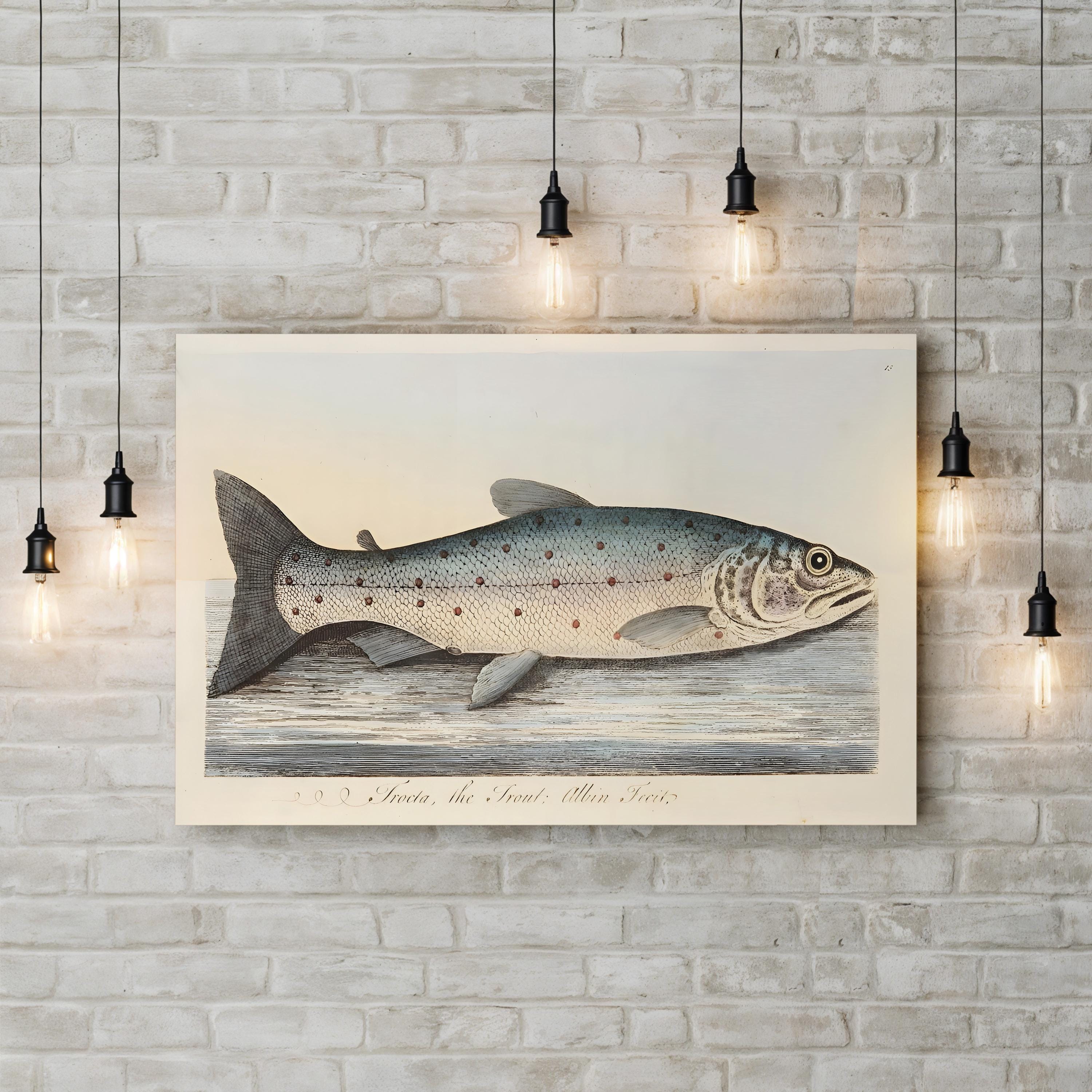 The Trout, 1832 Engraving – Period Illustration Wall Art | Hand-Colored Marine Canvas Print