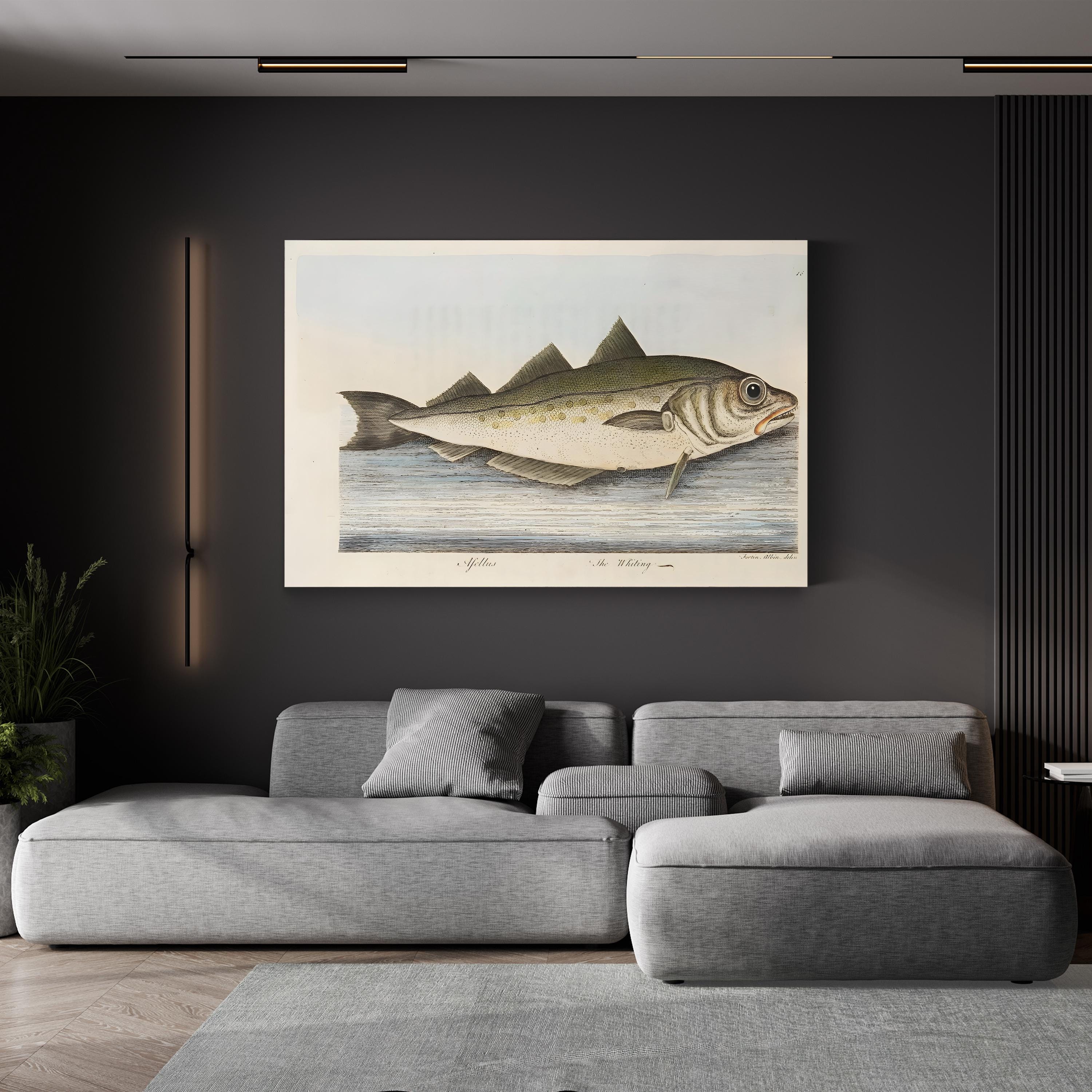 The Whiting, c. 1832 by Eleazar Albin canvas print in Gallery Canvas frame