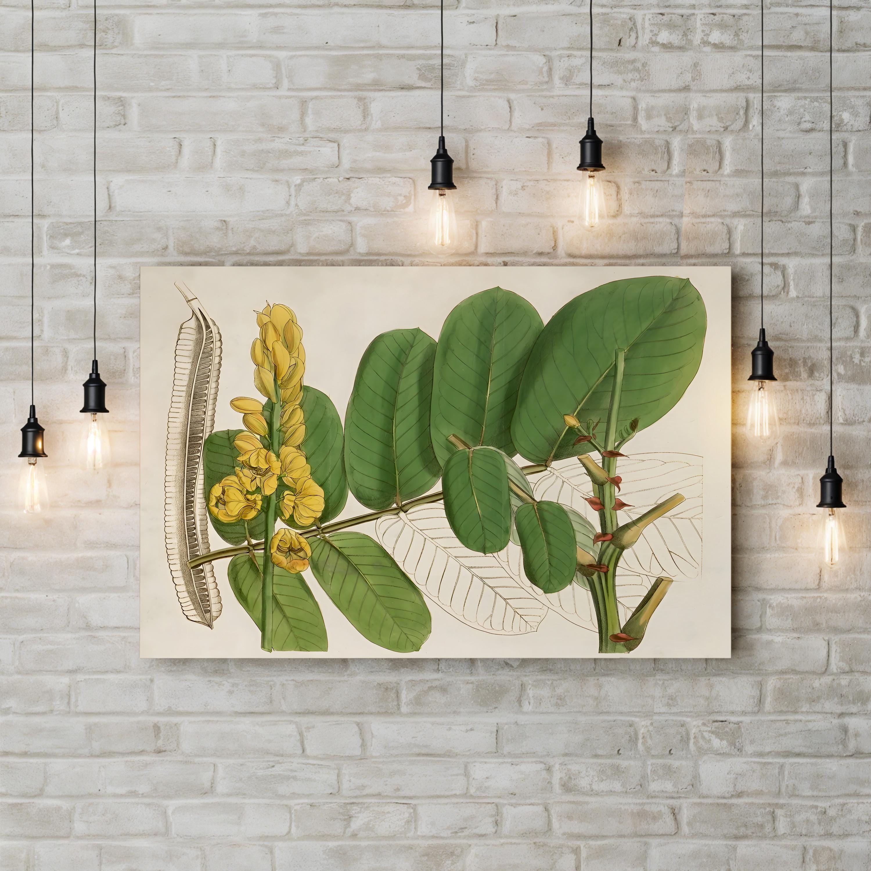Tropical Foliage & Fruit II Canvas Print: Exotic Botanical Wall Art