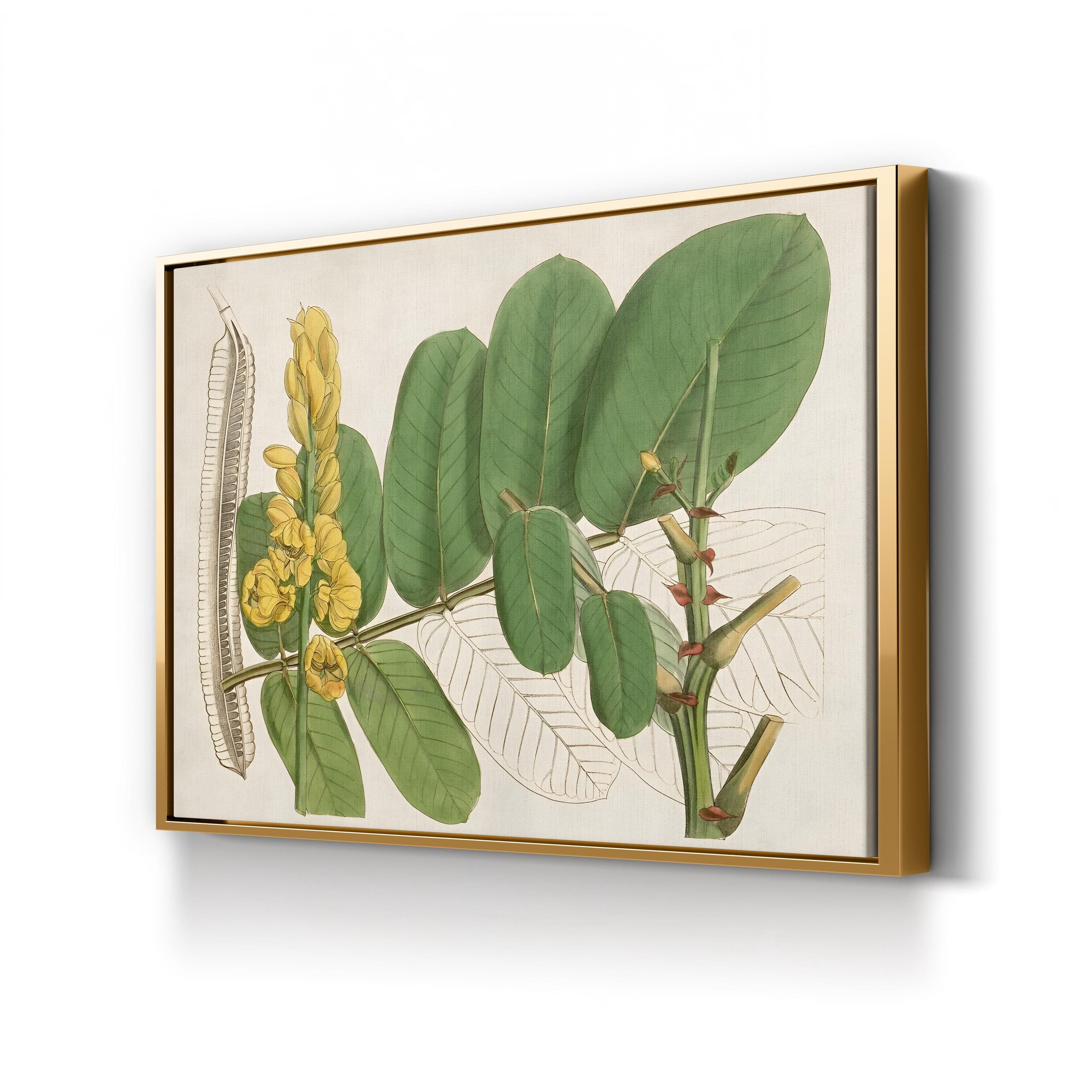 Tropical Foliage & Fruit II Canvas Print: Exotic Botanical Wall Art