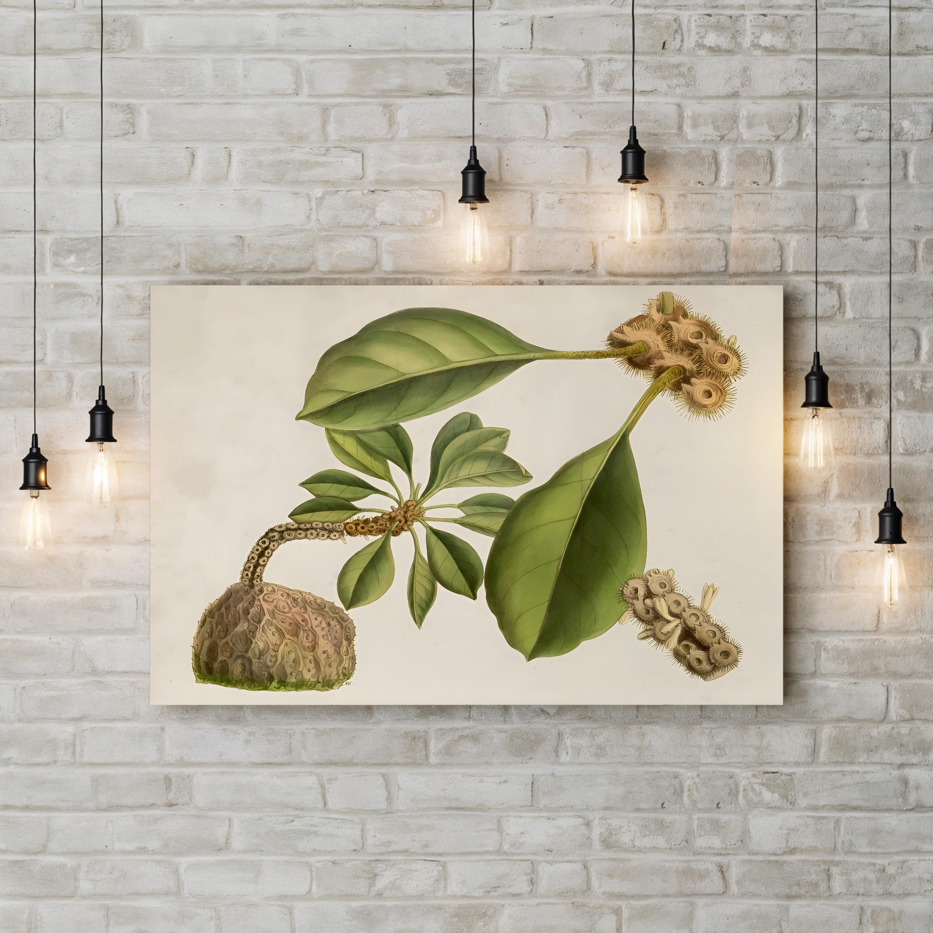 Botanical Tropical Foliage & Exotic Fruit by Curtis Art