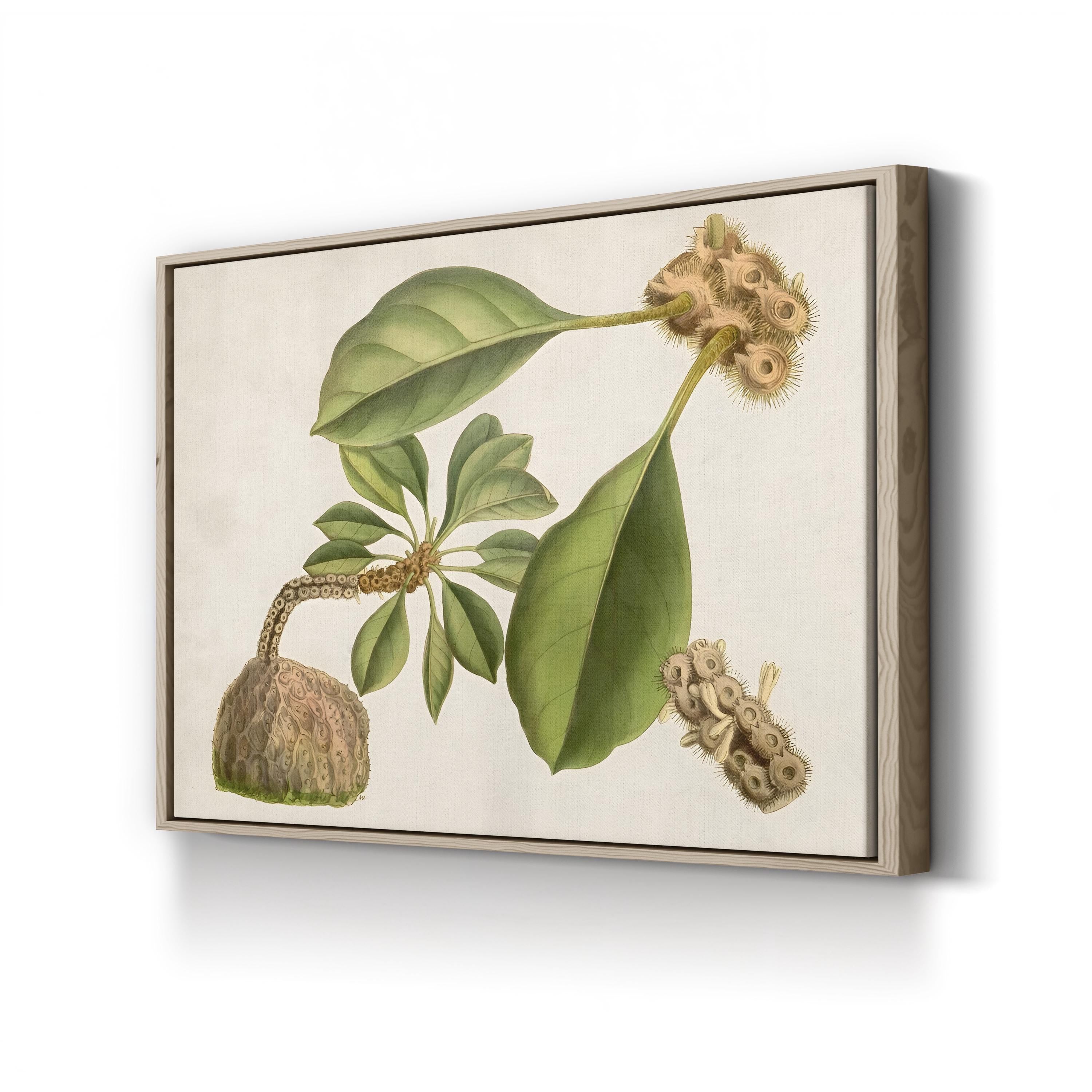 Botanical Tropical Foliage & Exotic Fruit by Curtis Art