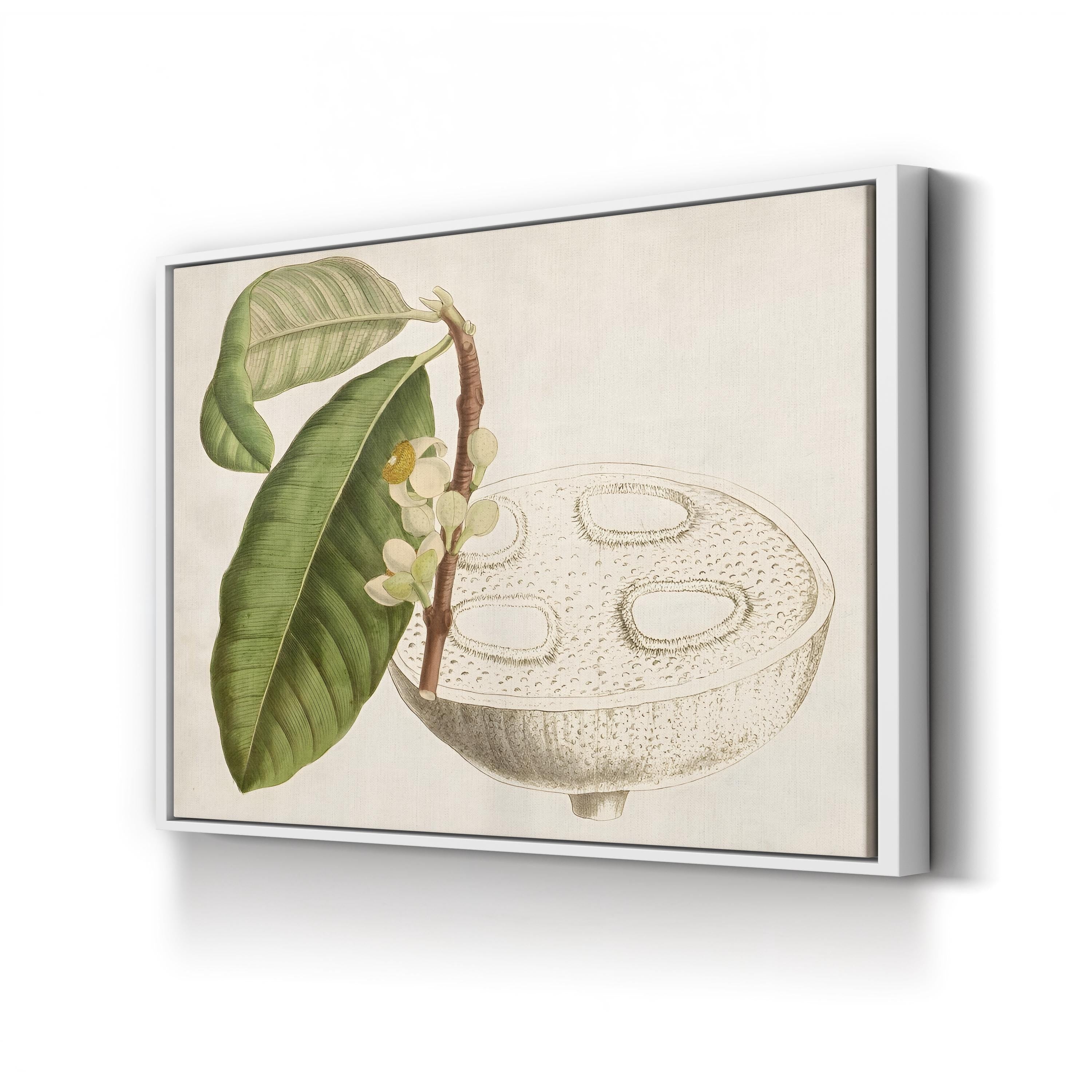 Tropical Fruit Canvas Print: Vintage Botanical Foliage Wall Art