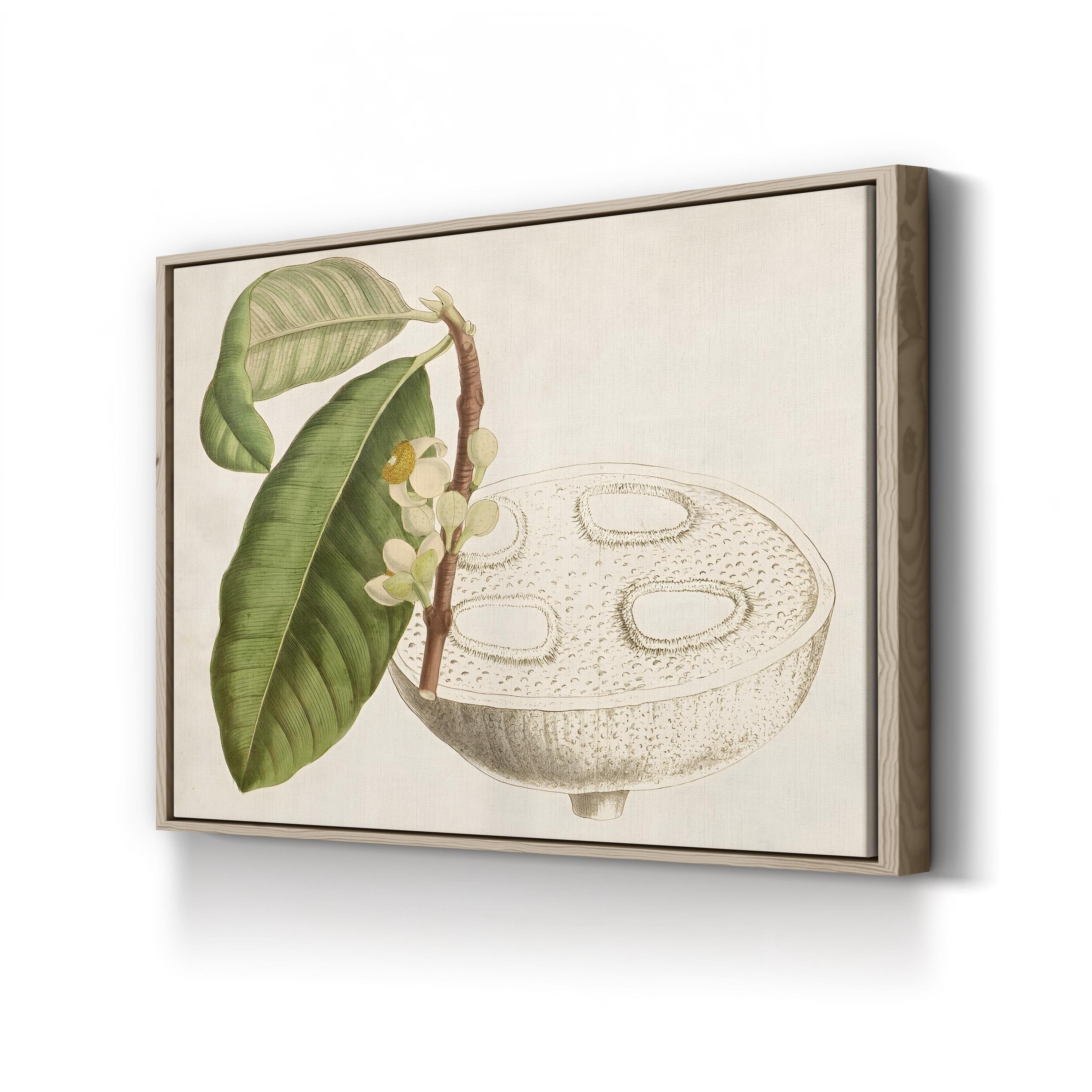 Tropical Fruit Canvas Print: Vintage Botanical Foliage Wall Art