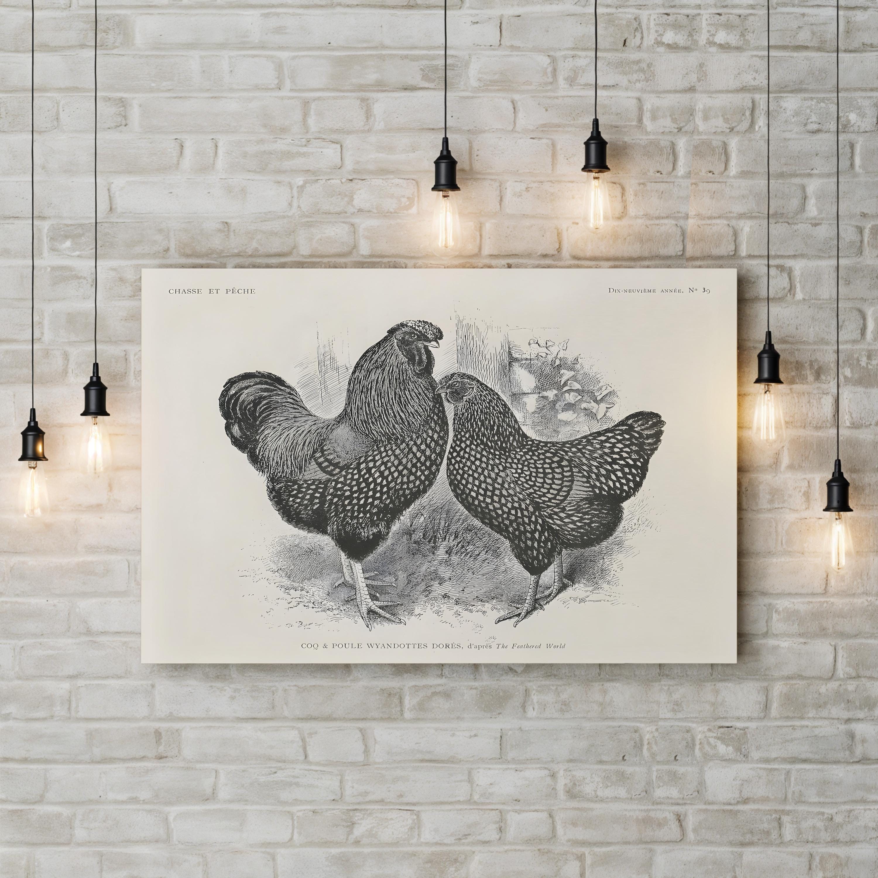 Farmhouse Rooster & Chickens – Period Illustration Wall Art | Black & White Etching Canvas Print