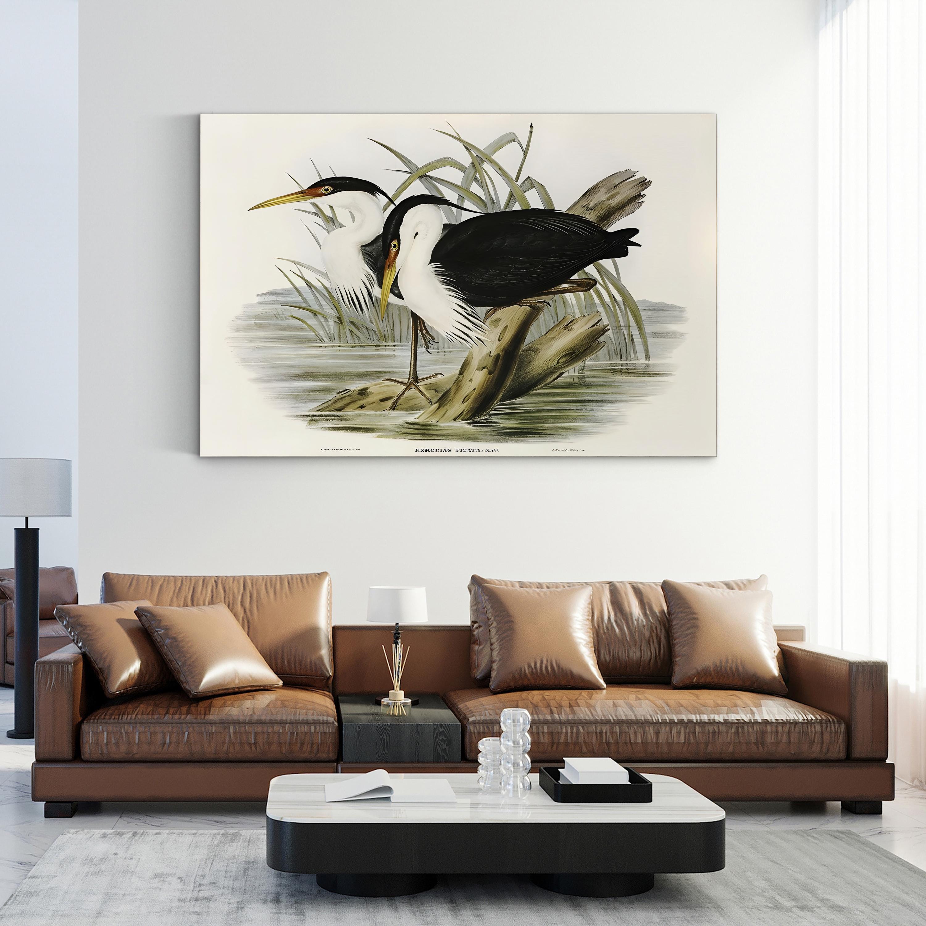 Vintage Heron Waterbird – Period Illustration Wall Art | Black & White Canvas Print