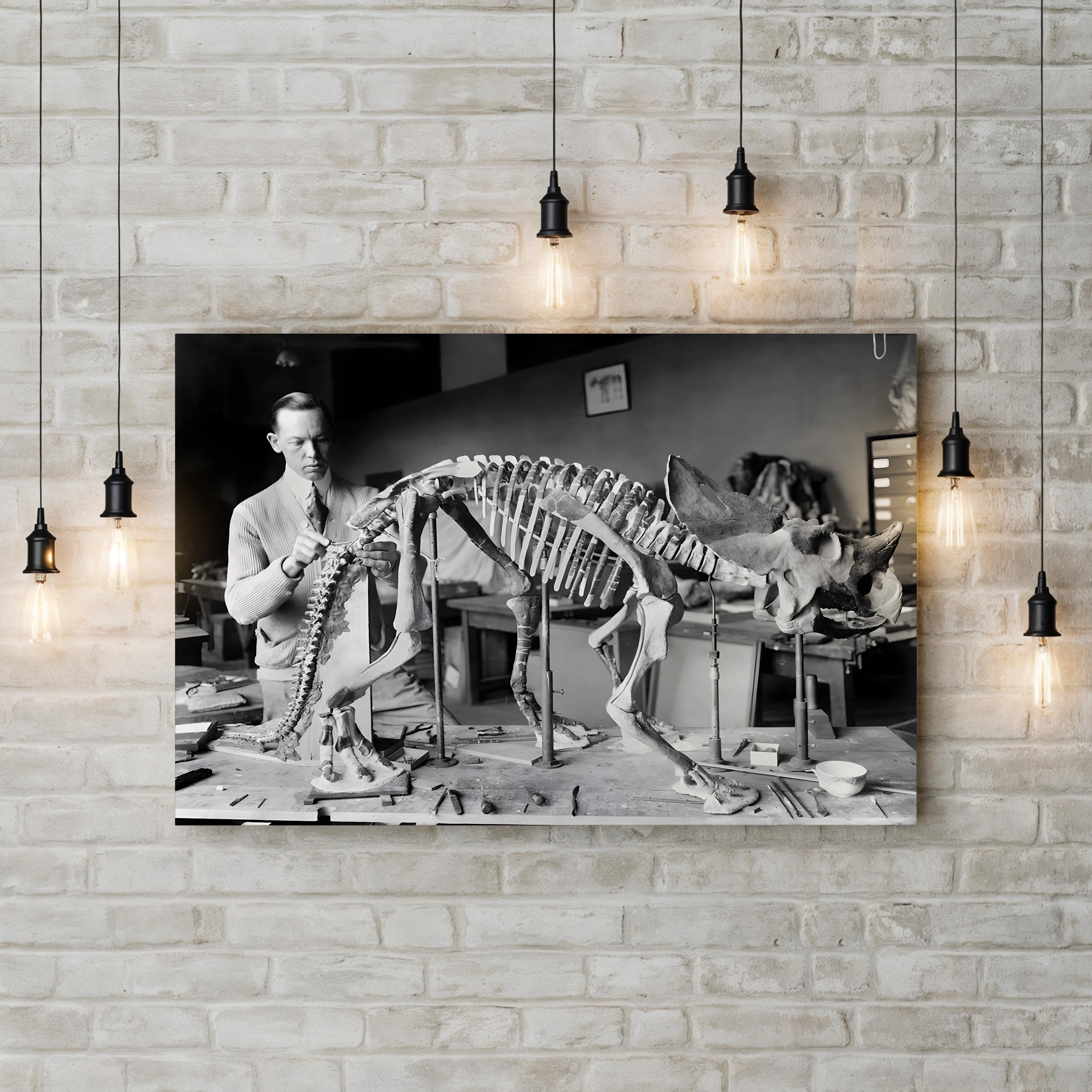 Mounted Sauropod Dinosaur Skeleton, 1921 Wall Art — Vintage Paleontology Museum Photograph