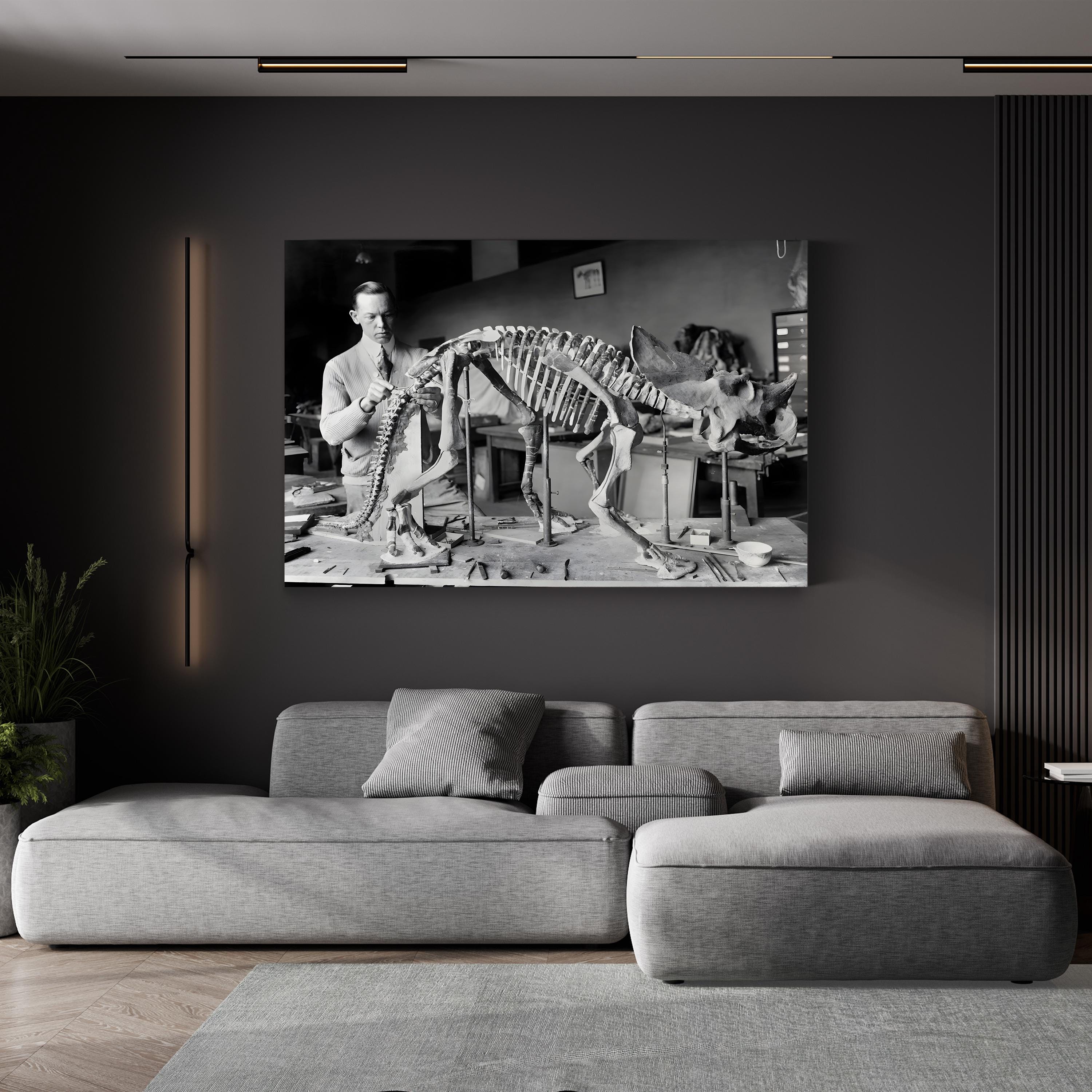 Mounted Brachyceratops Skeleton, 1921 by National Photo Company canvas print displayed in a modern living room