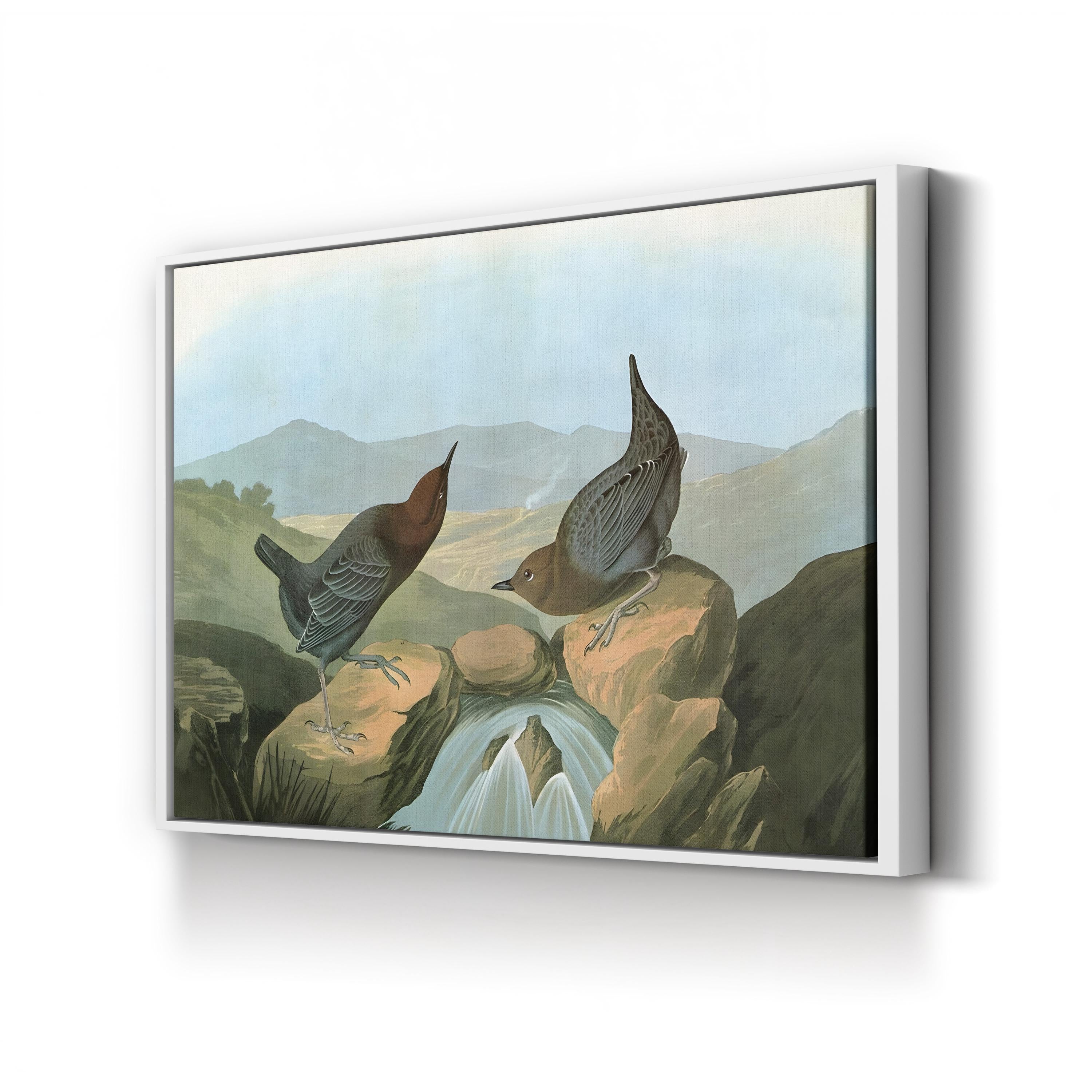 American Dipper (Water Ouzel), by John James Audubon canvas print in gold frame